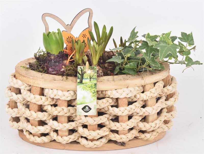 Hout ovaal met touw 30x12cm, D 30