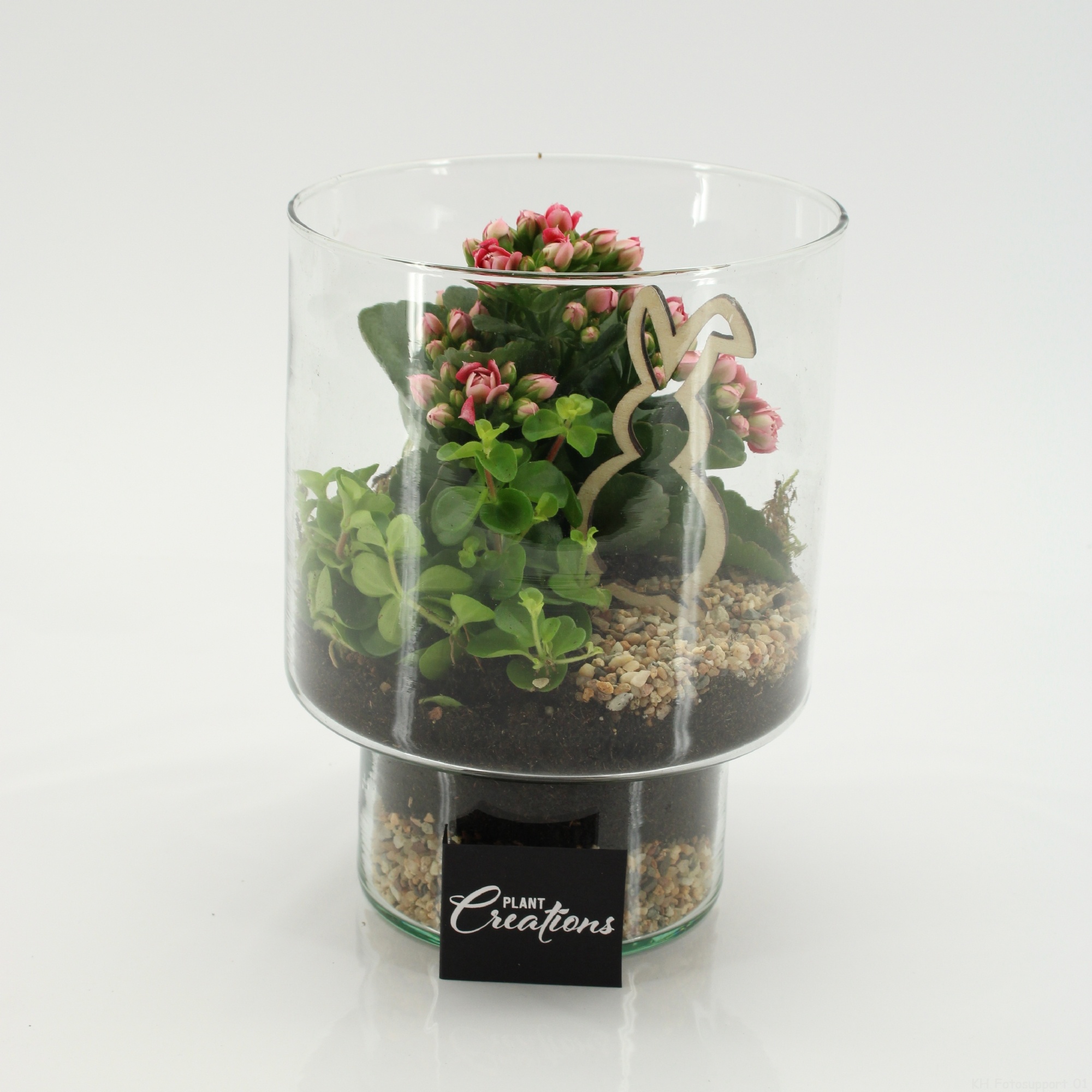 PSCR-2614RZ Easter Essentials, D 15