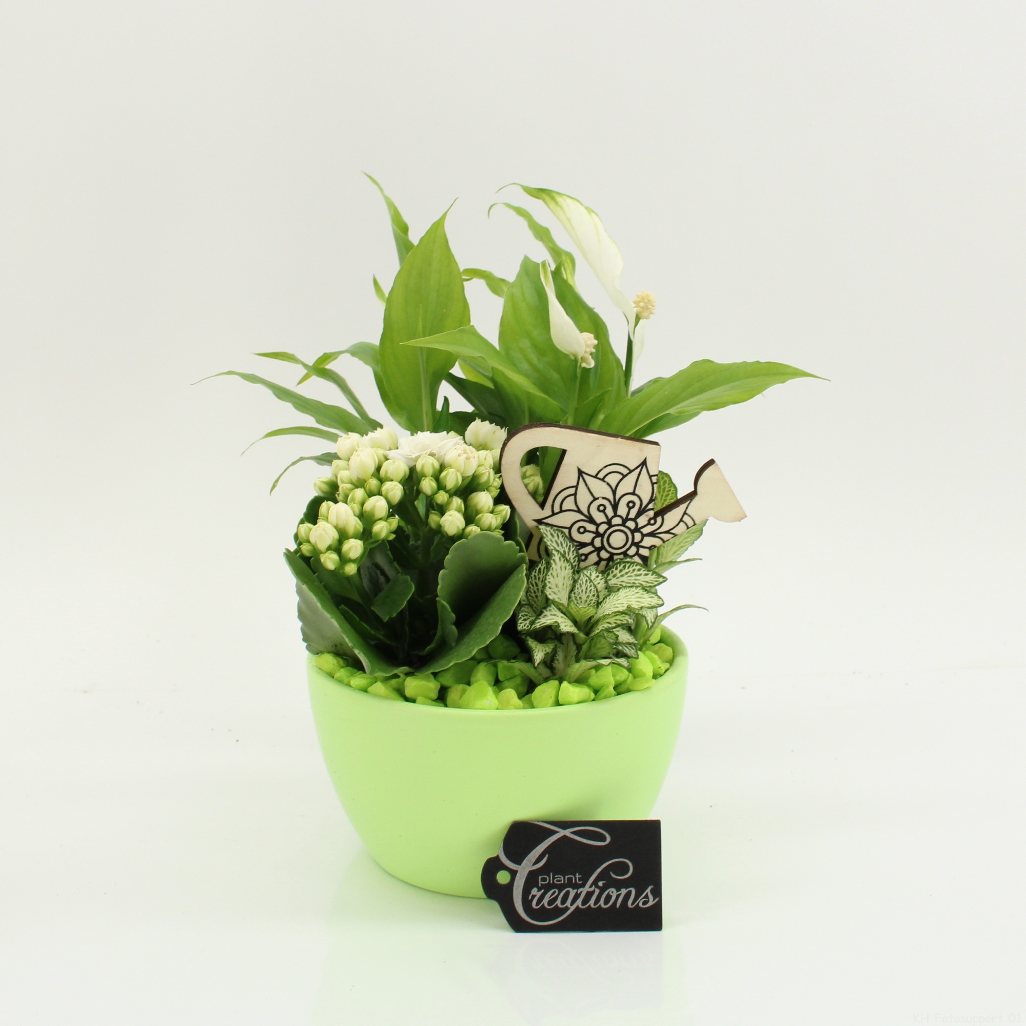 FDCR-2607GR Basic Fundamentals, D 14