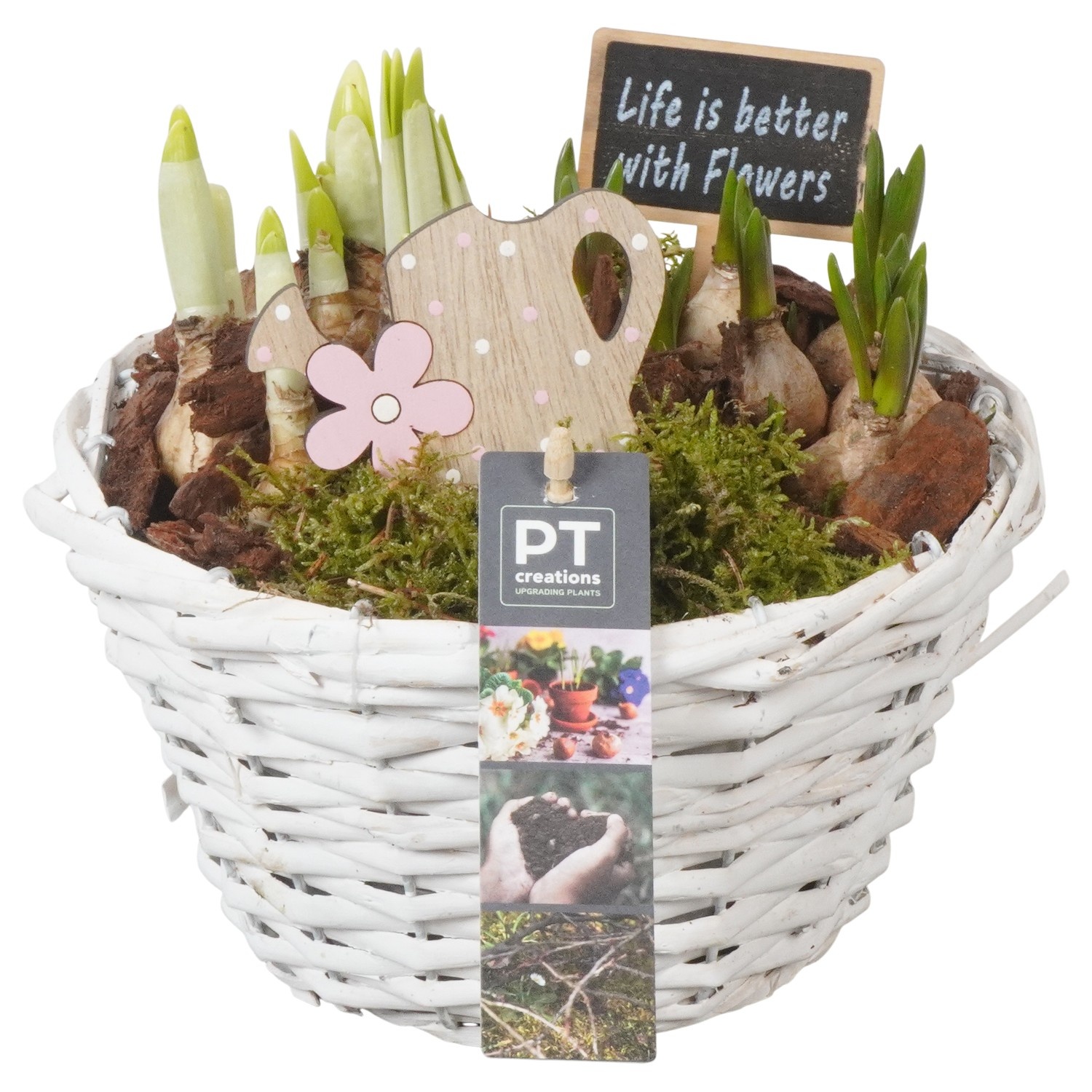 PTBM3850 Arrangement Flower Bulbs Mix in rieten mand, D 18