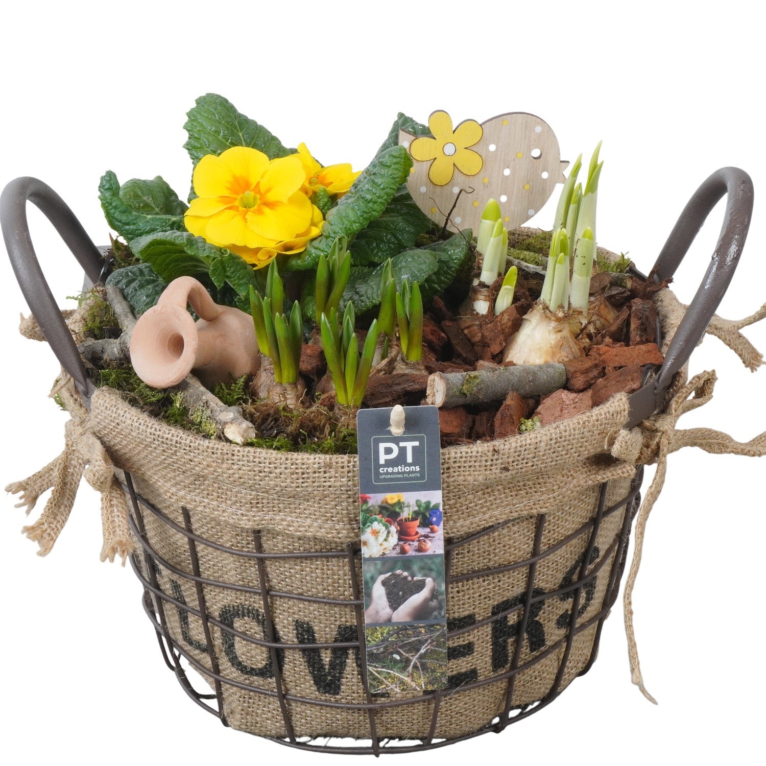 PTBM3864 Arrangement Flower Bulbs Mix in metalen pot, D 25