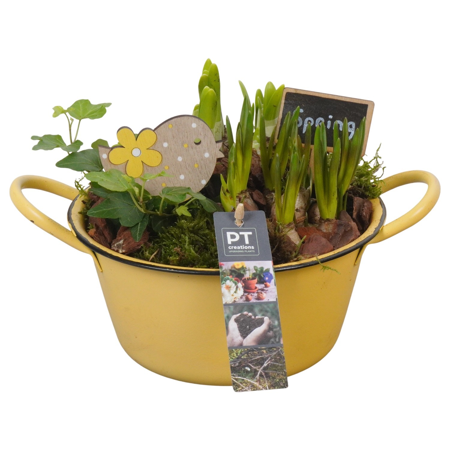 PTBM3724 Arrangement Flower Bulbs Mix in metalen schaal, D 19