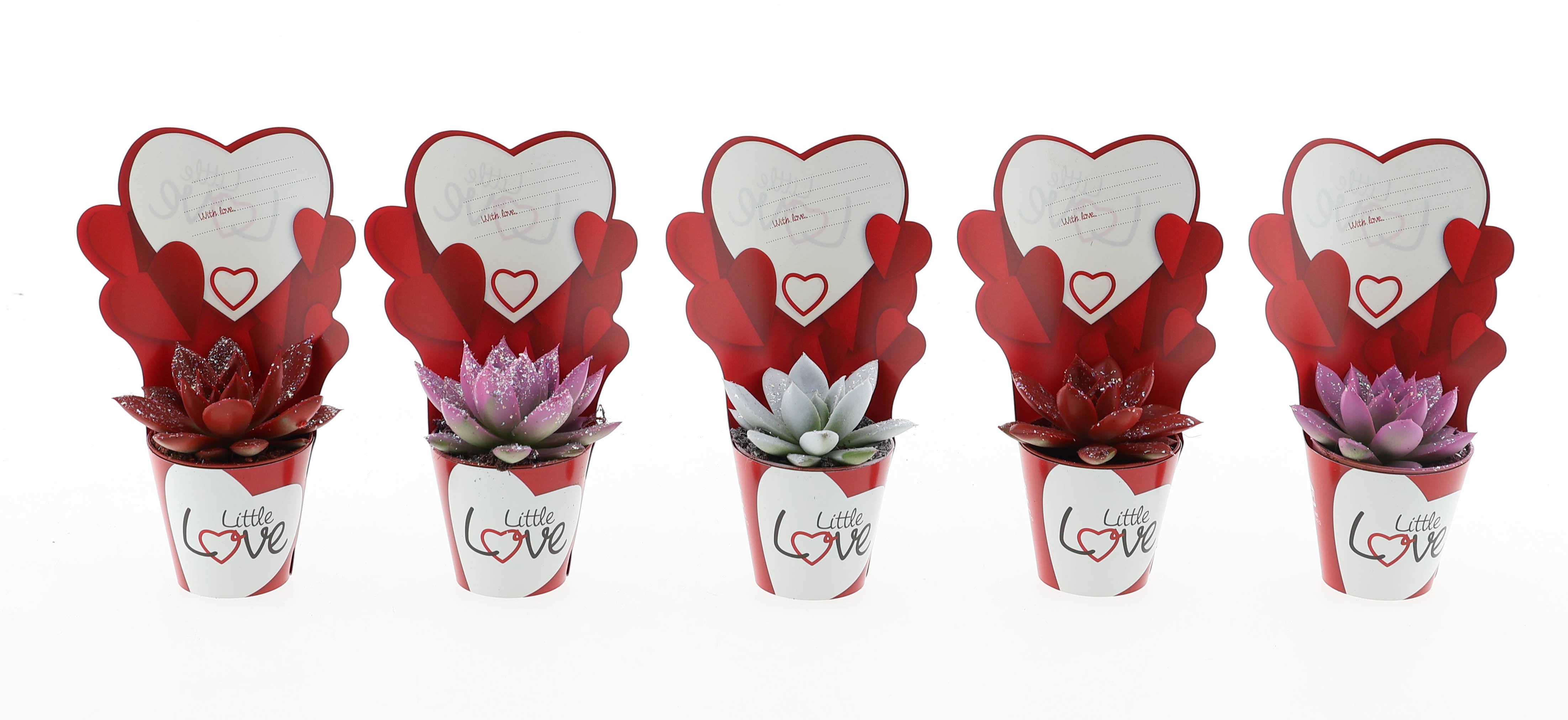 Potcover little love Miranda rainbow + glitter, D 5,5