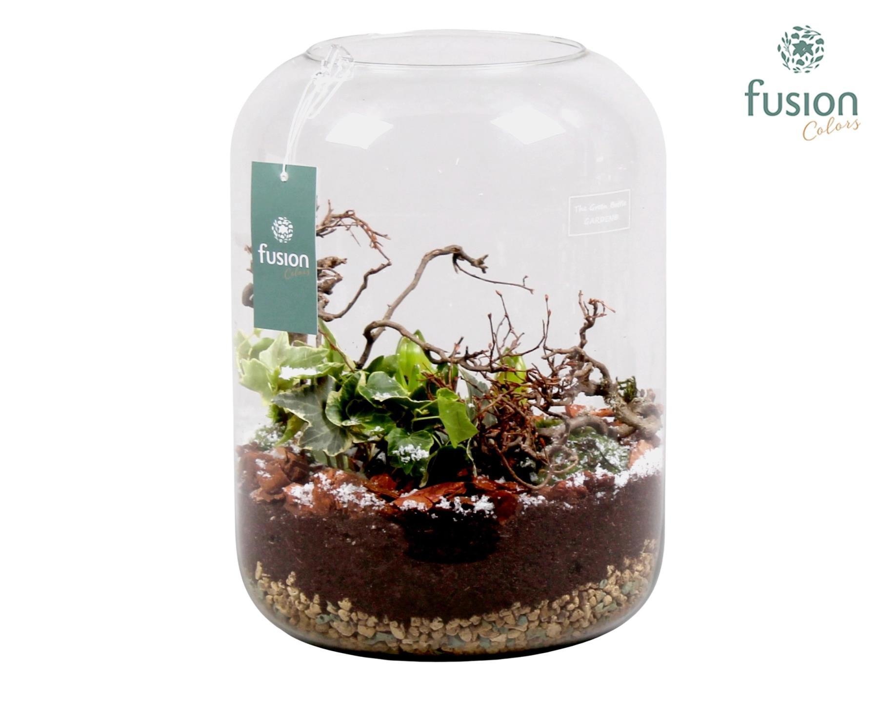 Green Bottle Isabella XLarge met Hyacinten Arrangement, D 23