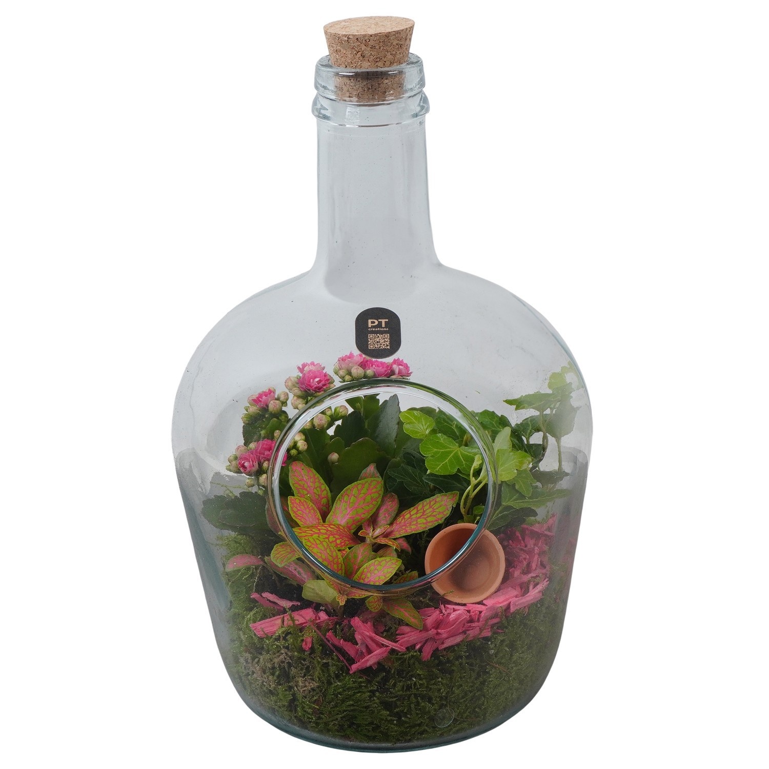 PTIG2716 Arrangement Indoor in glas fles, D 18