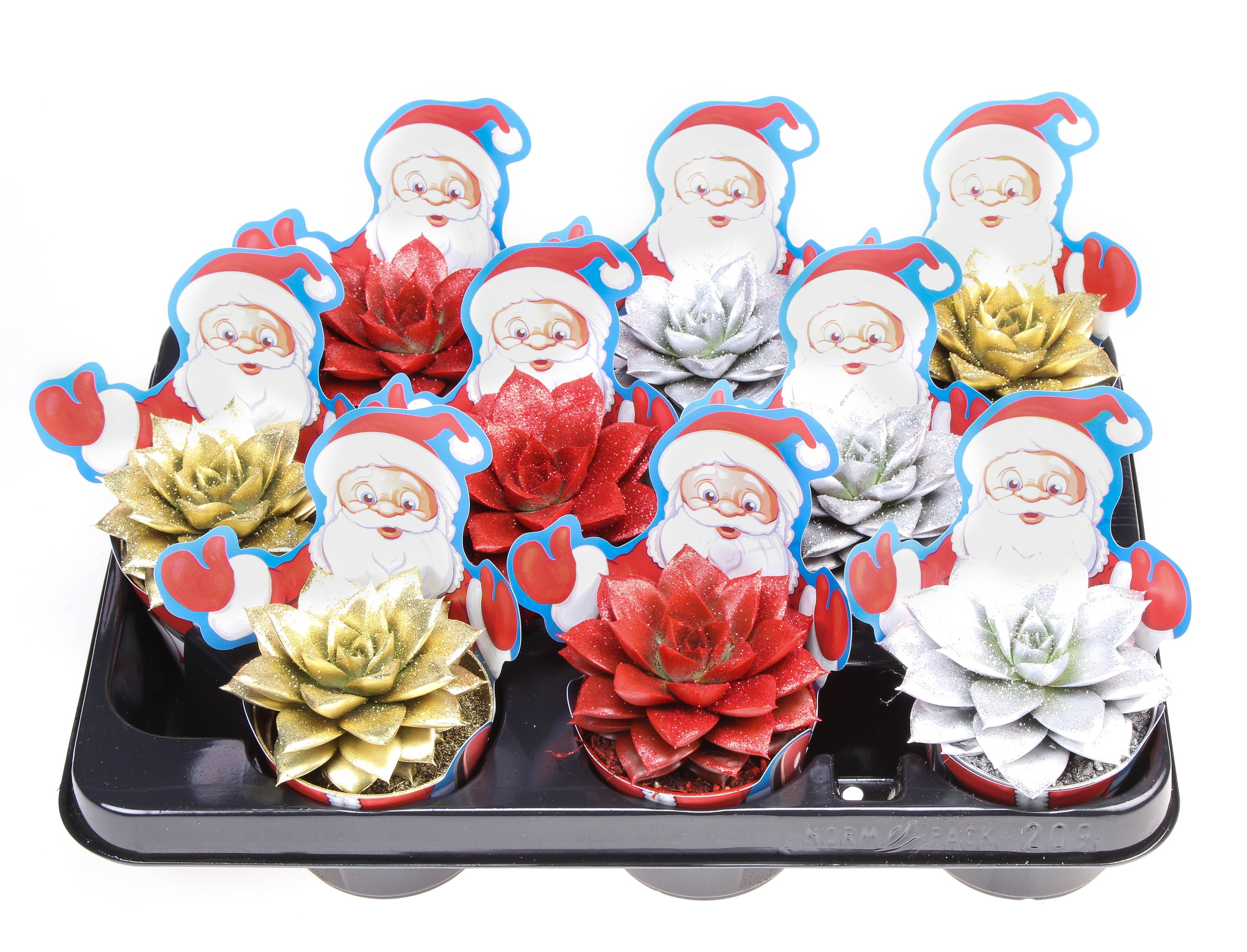 Potcover santaclaus purper glitter mix + bio glitter, D 8,5