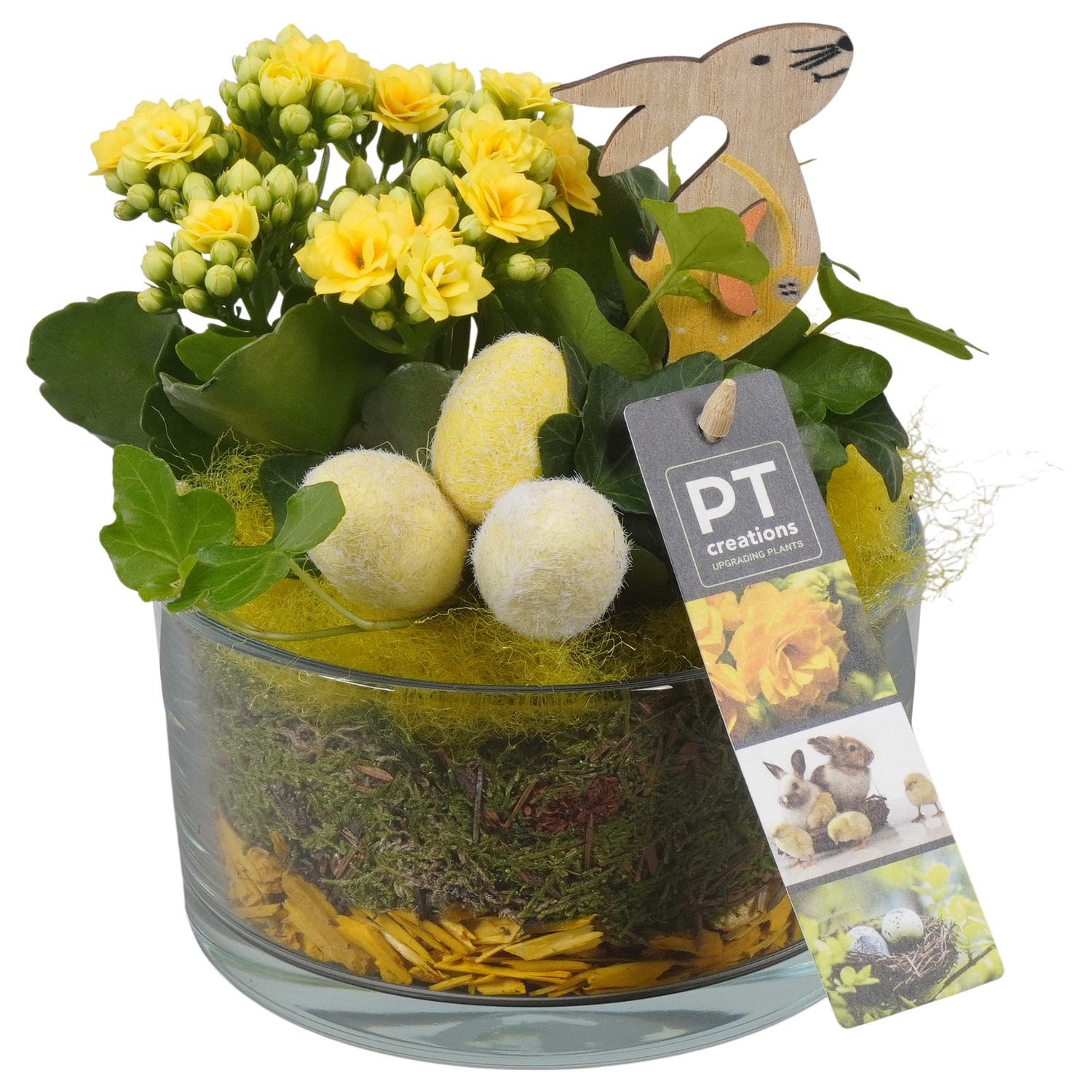 PTPG9321 Arrangement Easter in glas vaas, D 14