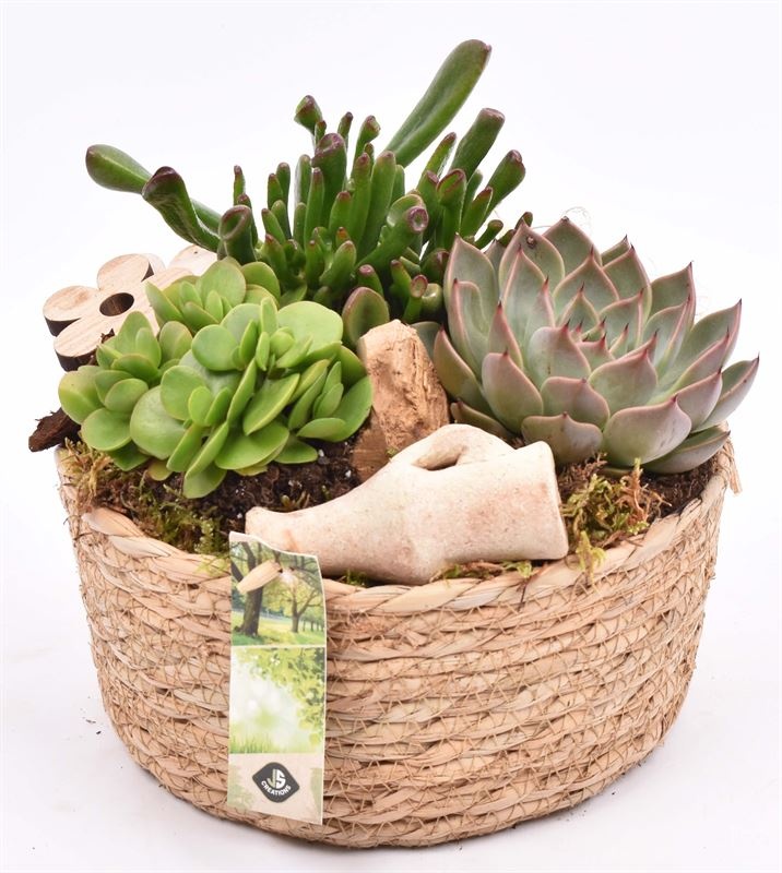 Touwmand laag 19,5cm, D 20