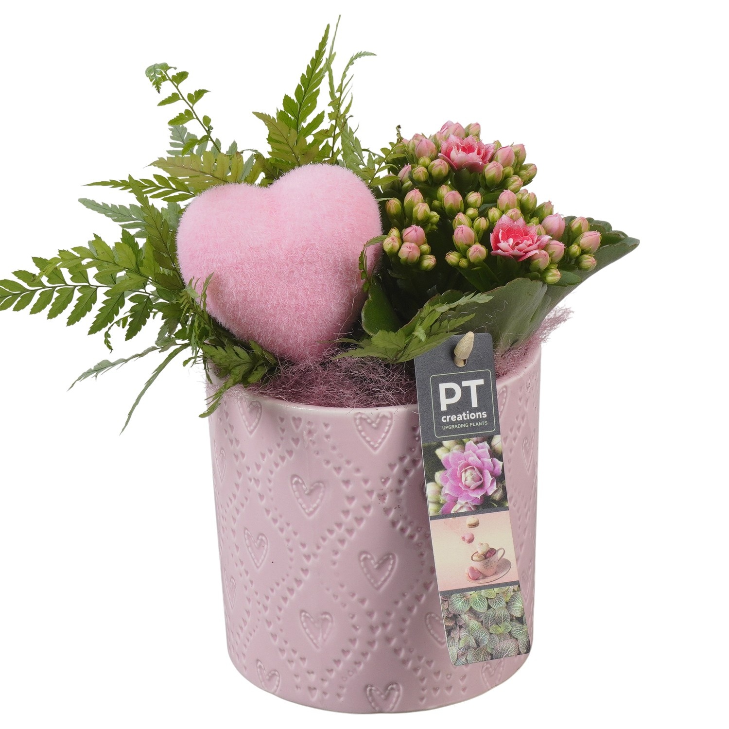 PTVMB2295 Arrangement Valentines-Mothersday in keramiek sierpot, D 12