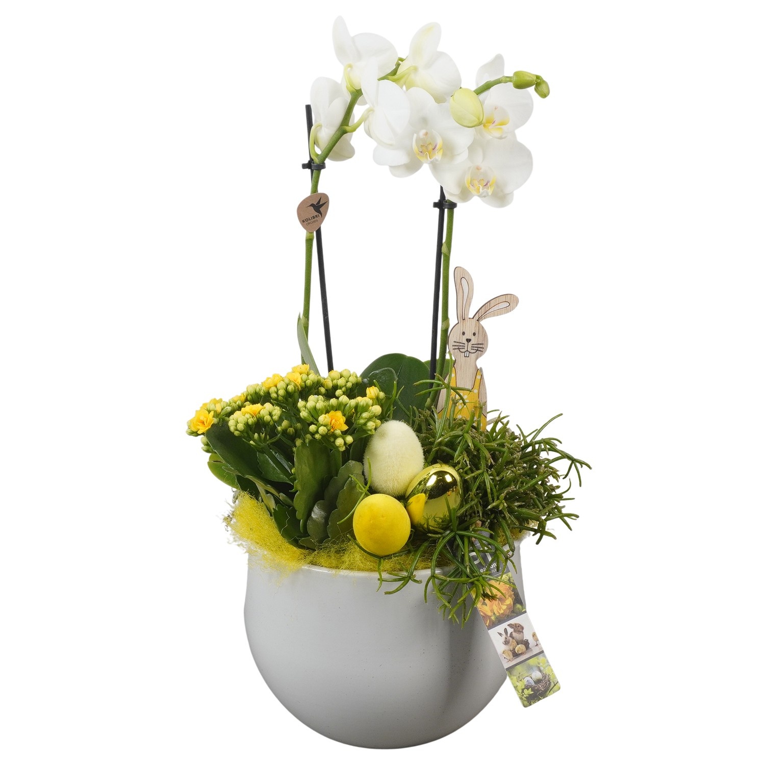 PTPB6536 Arrangement Easter in keramiek pot, D 19