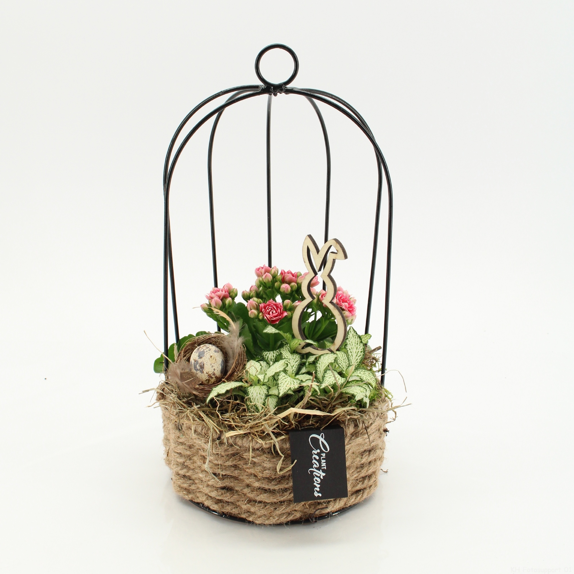 PSCR-2625RZ Easter Essentials, D 16