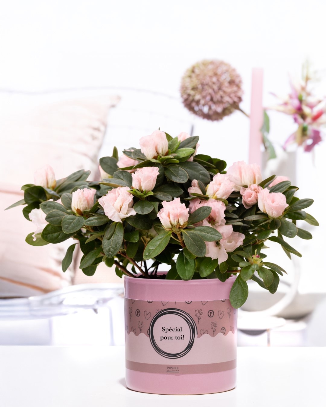 1st class Azalea pink in P&P cadeau concept: SPECIAL POUR TOI!, D 12