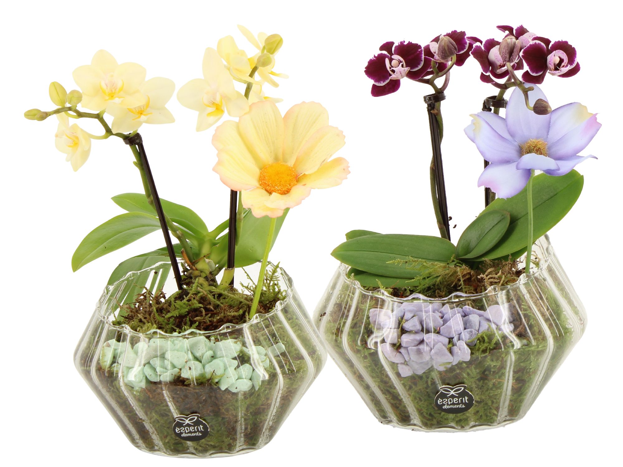 11577: Consideration arrangement, D 15