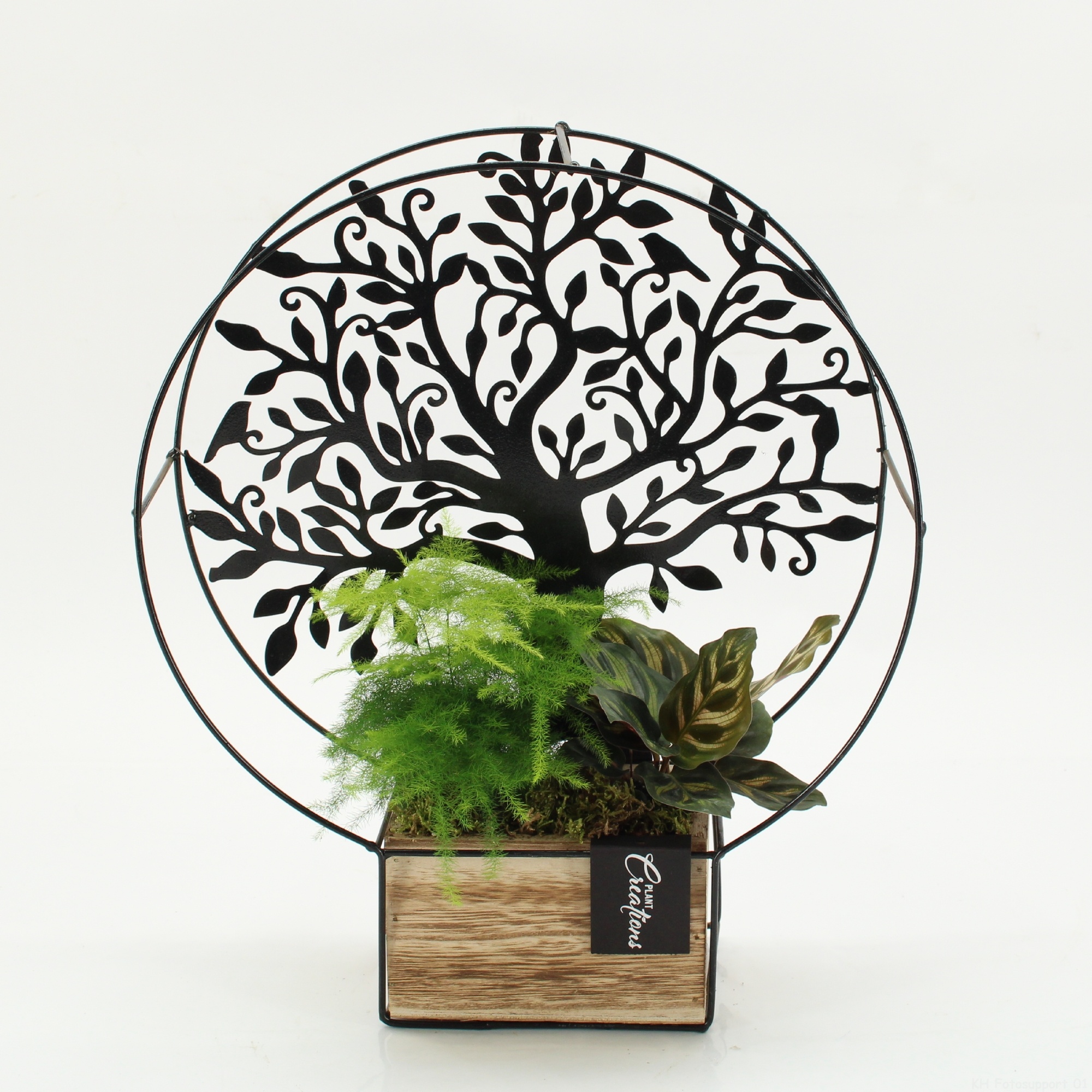 GRCR-2630 Green Essentials, D 30