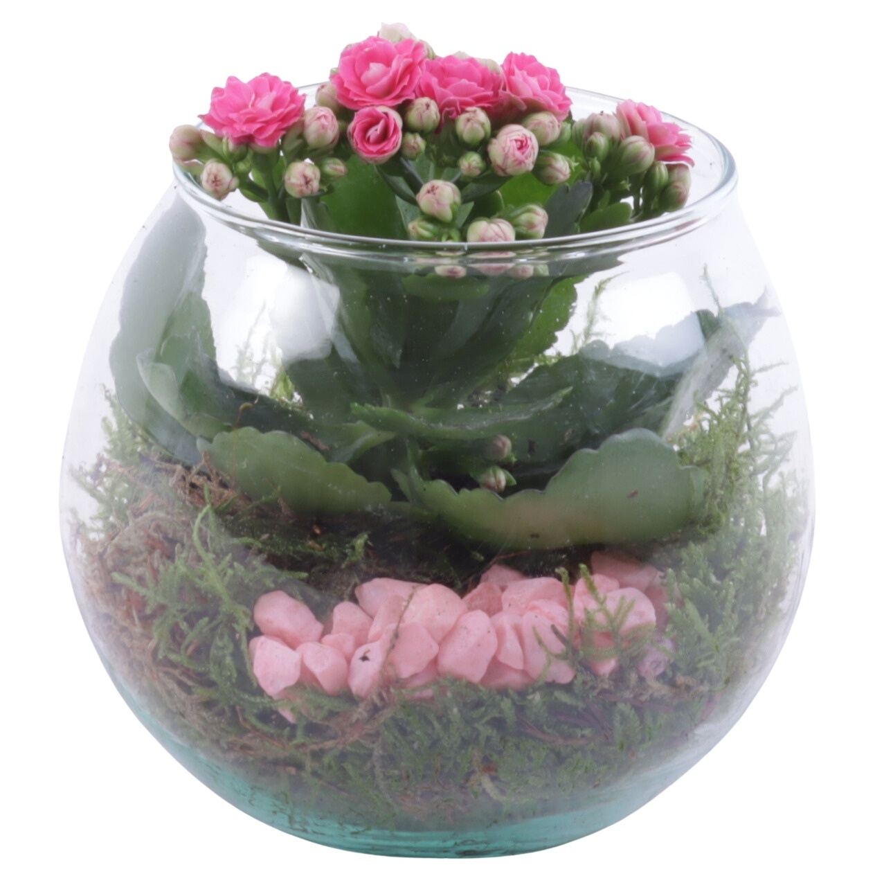 Womensday Arr. Indoor Glass Fishbowl Ø12cm 1PP, D 12