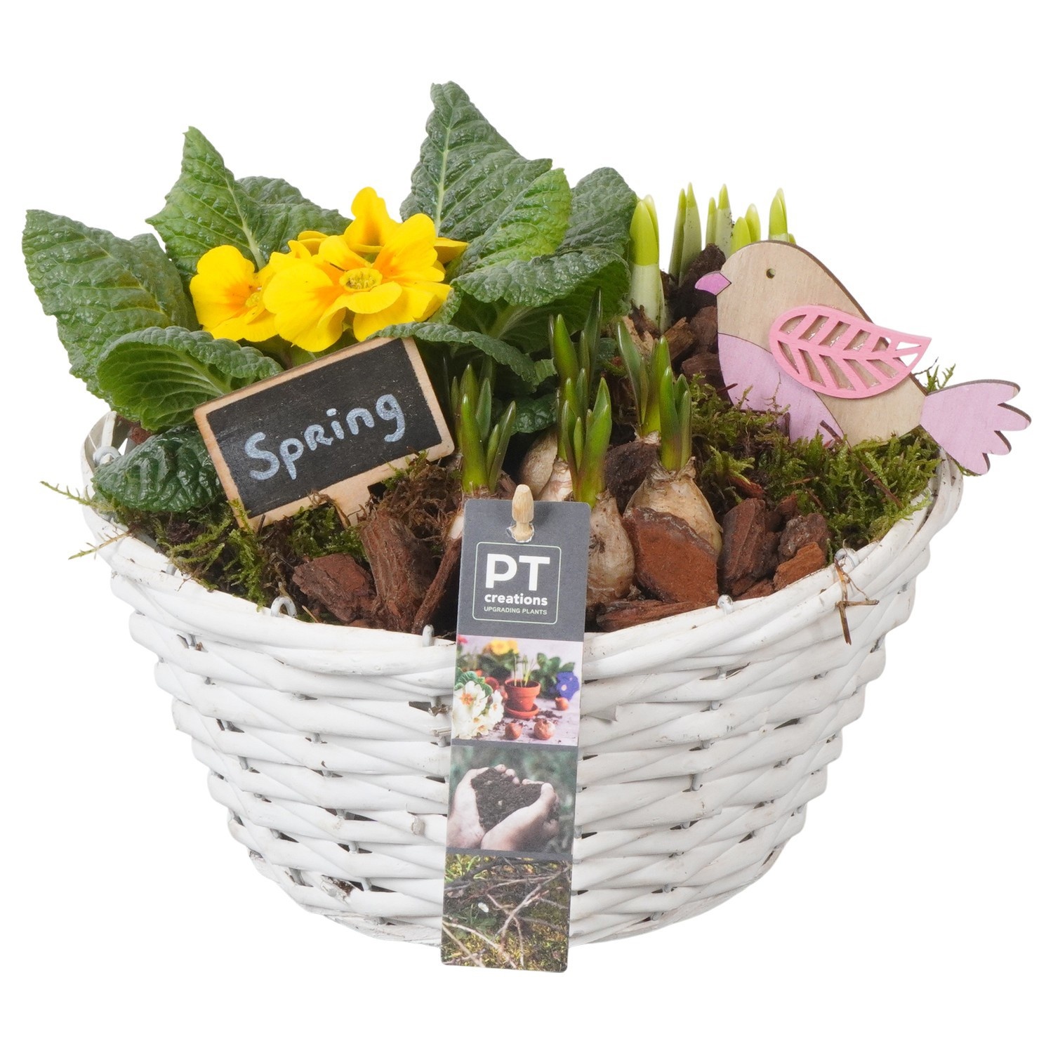 PTBM3853 Arrangement Flower Bulbs Mix in rieten mand, D 24