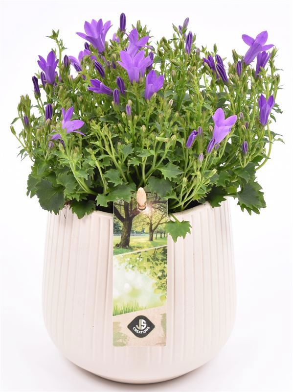 Keramiek vert.lines creme mat 12cm, D 12