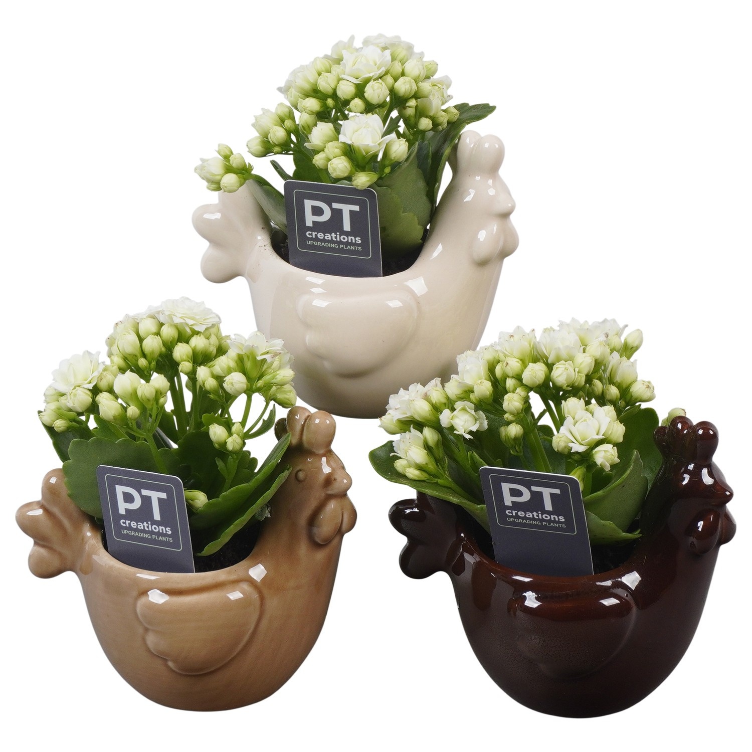 PTPB6618 Arrangement Easter in keramiek kip, D 12