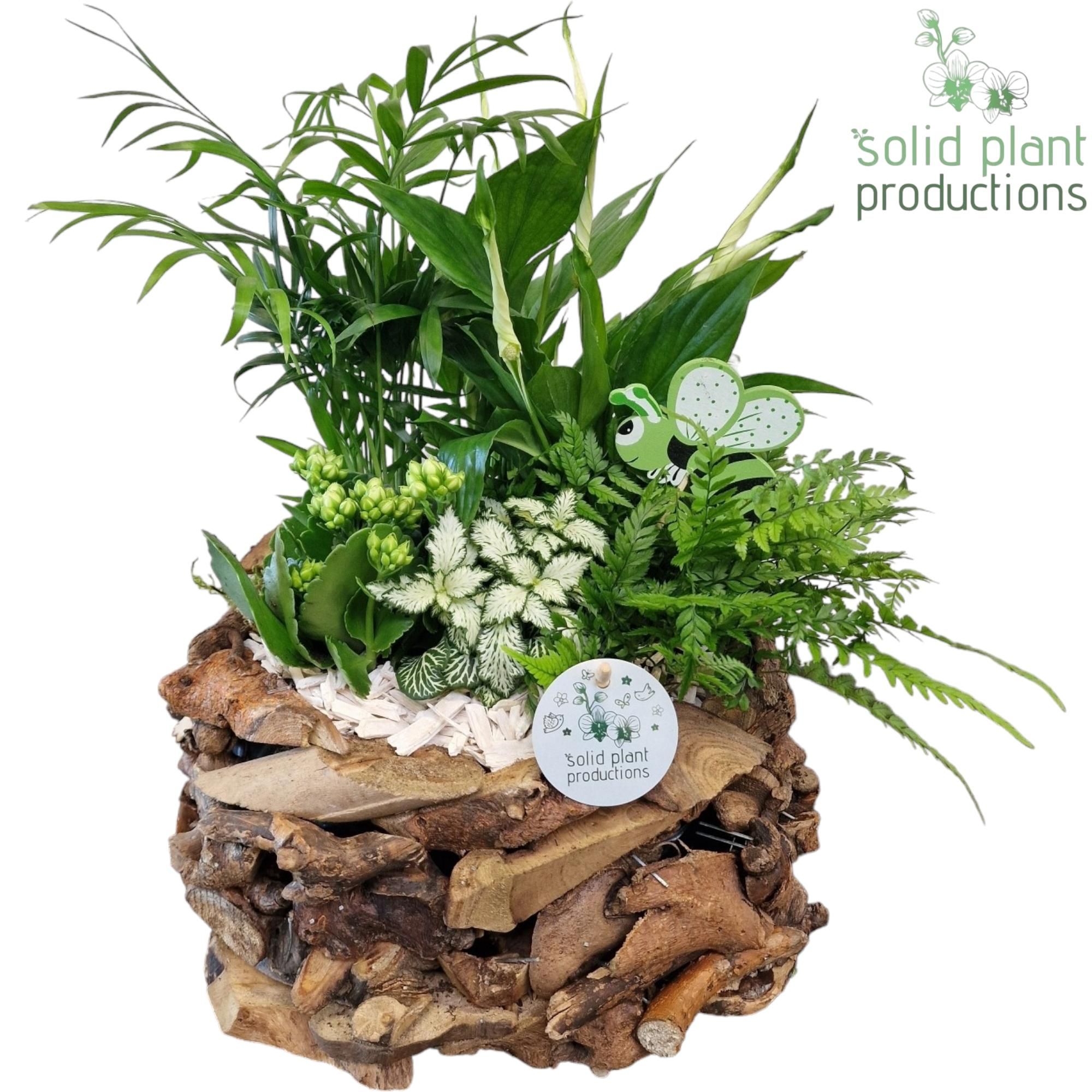 SC013 Driftwood Round White, D 31