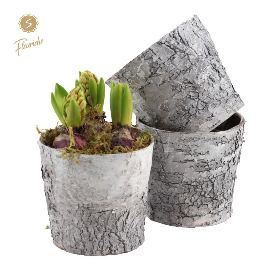 (3406) Hyacint Bark Pot [L], D 19