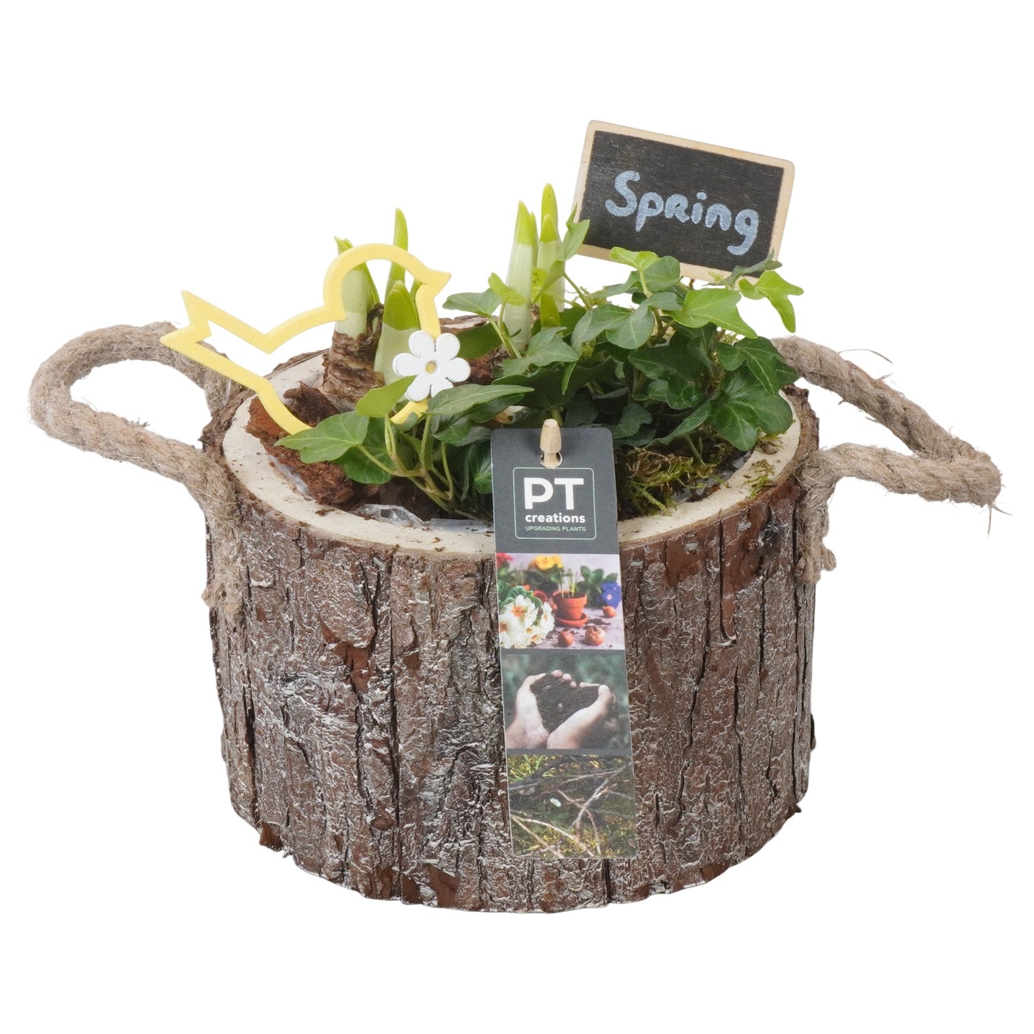 PTBM3908 Arrangement Flower Bulbs Mix in houten pot, D 16