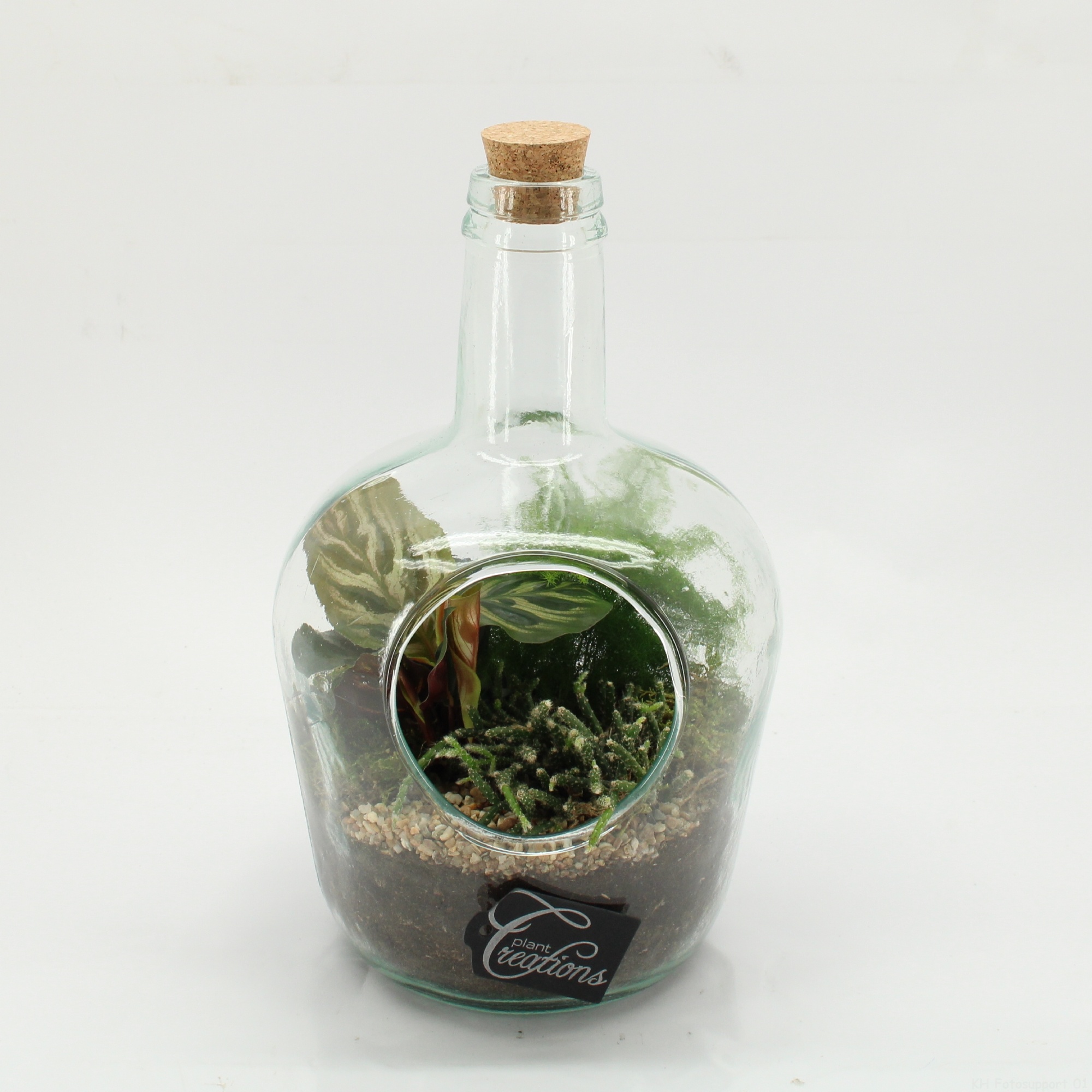 GRCR-2609 Green Essentials terrarium, D 18
