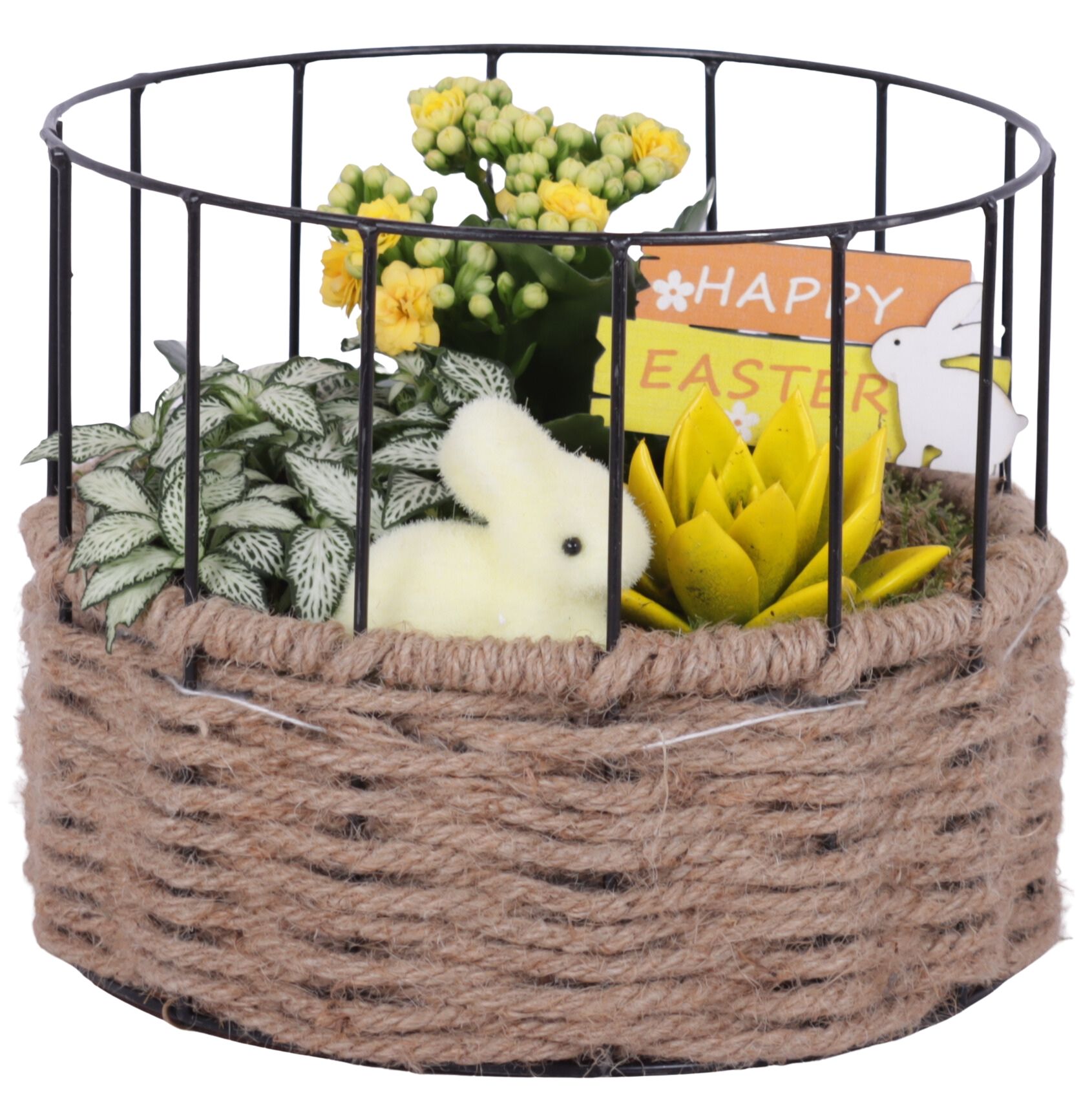 Easter Arr. Indoor Metal Frame Rope pot Round Ø21cm 3PP, D 21