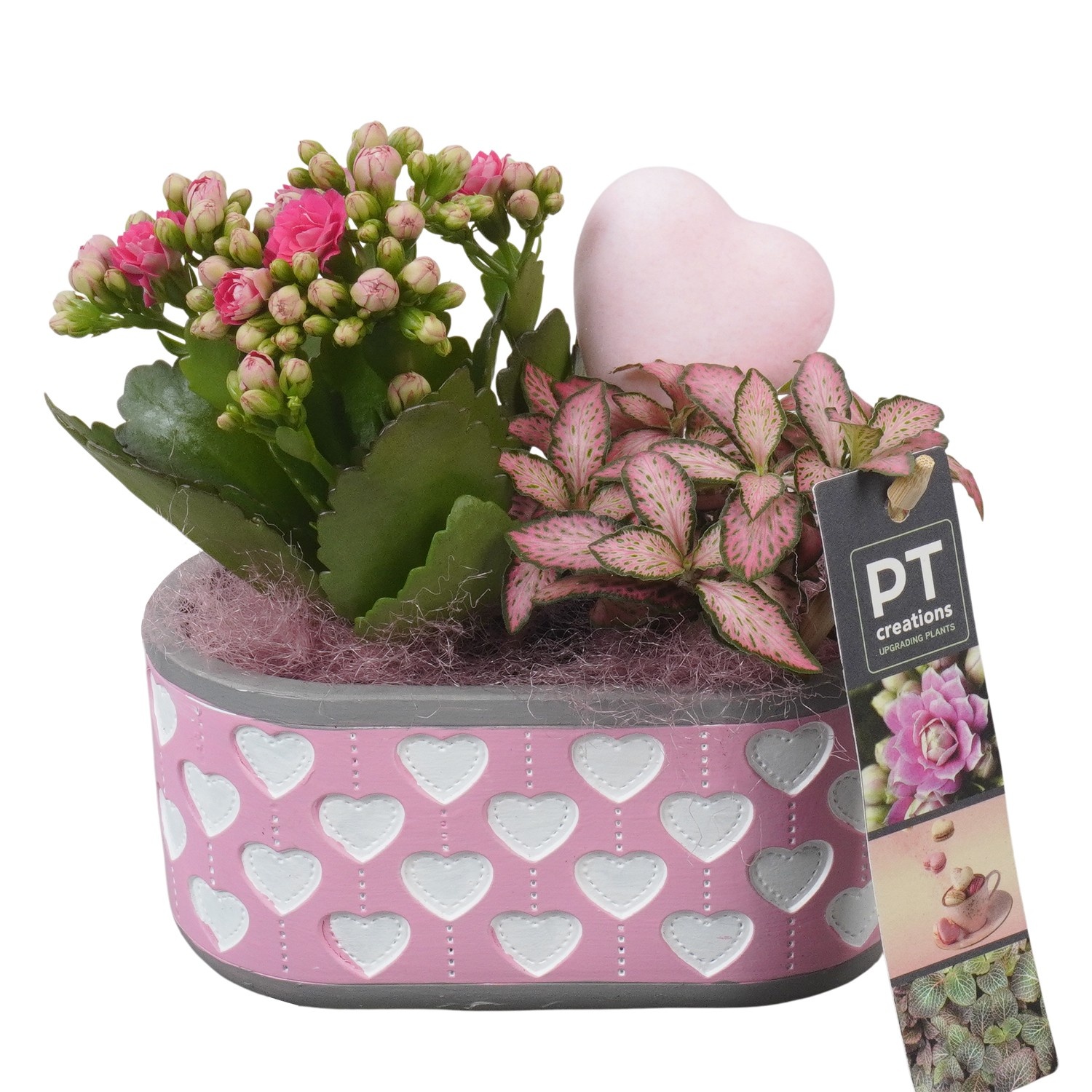 PTVMB2303 Arrangement Valentines-Mothersday in beton sierpot, D 14