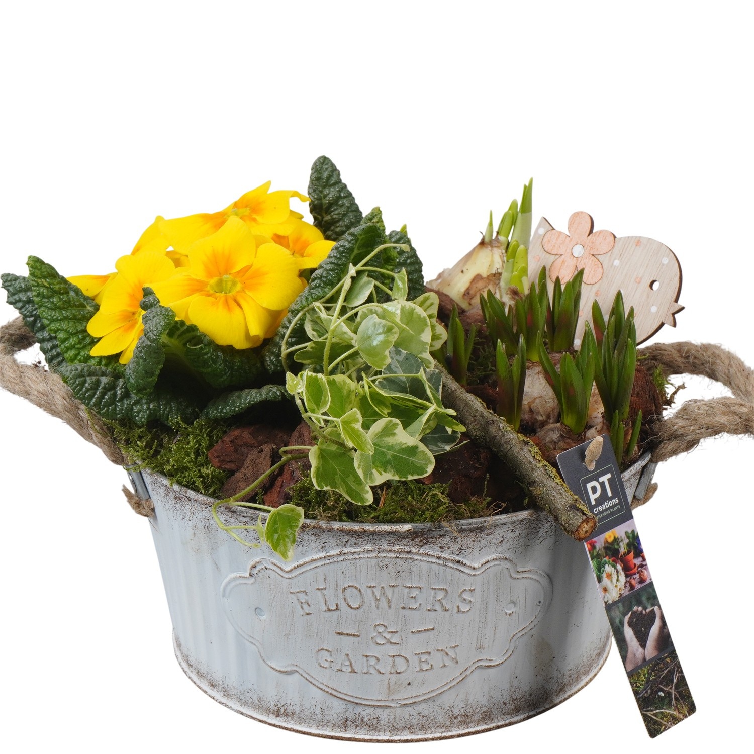 PTBM3770 Arrangement Flower Bulbs Mix in metalen pot, D 22