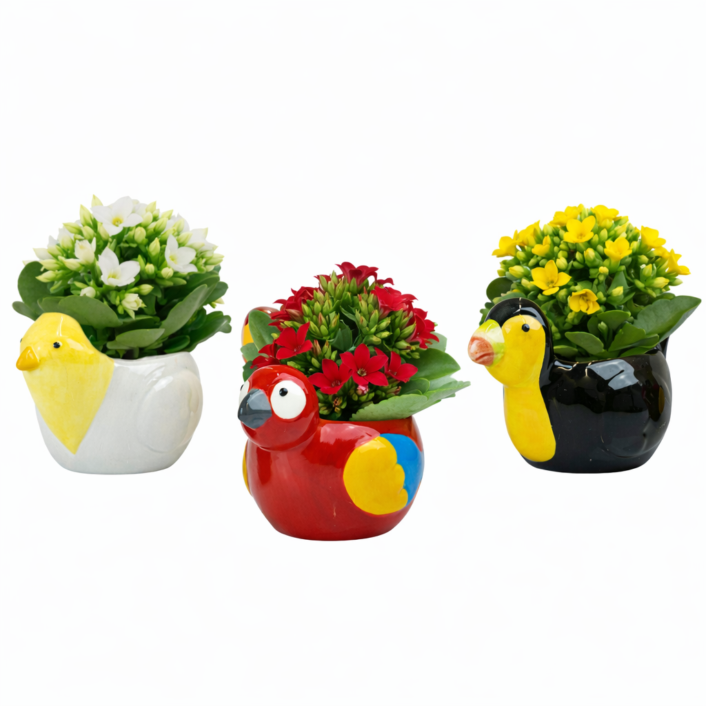 Tropical Birds with Kalanchoe, D 6