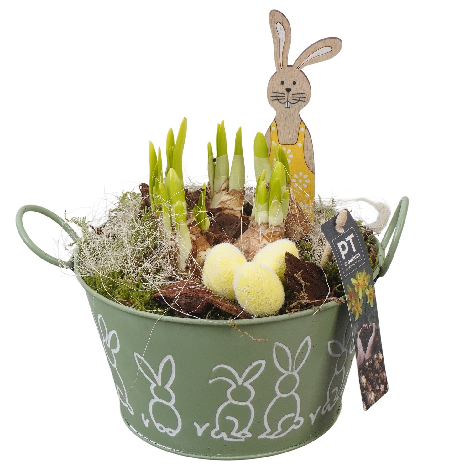 PTNP4438 Arrangement Narcissus Easter in zink pot, D 18