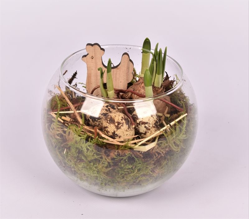 Glas bol 15 cm, D 15