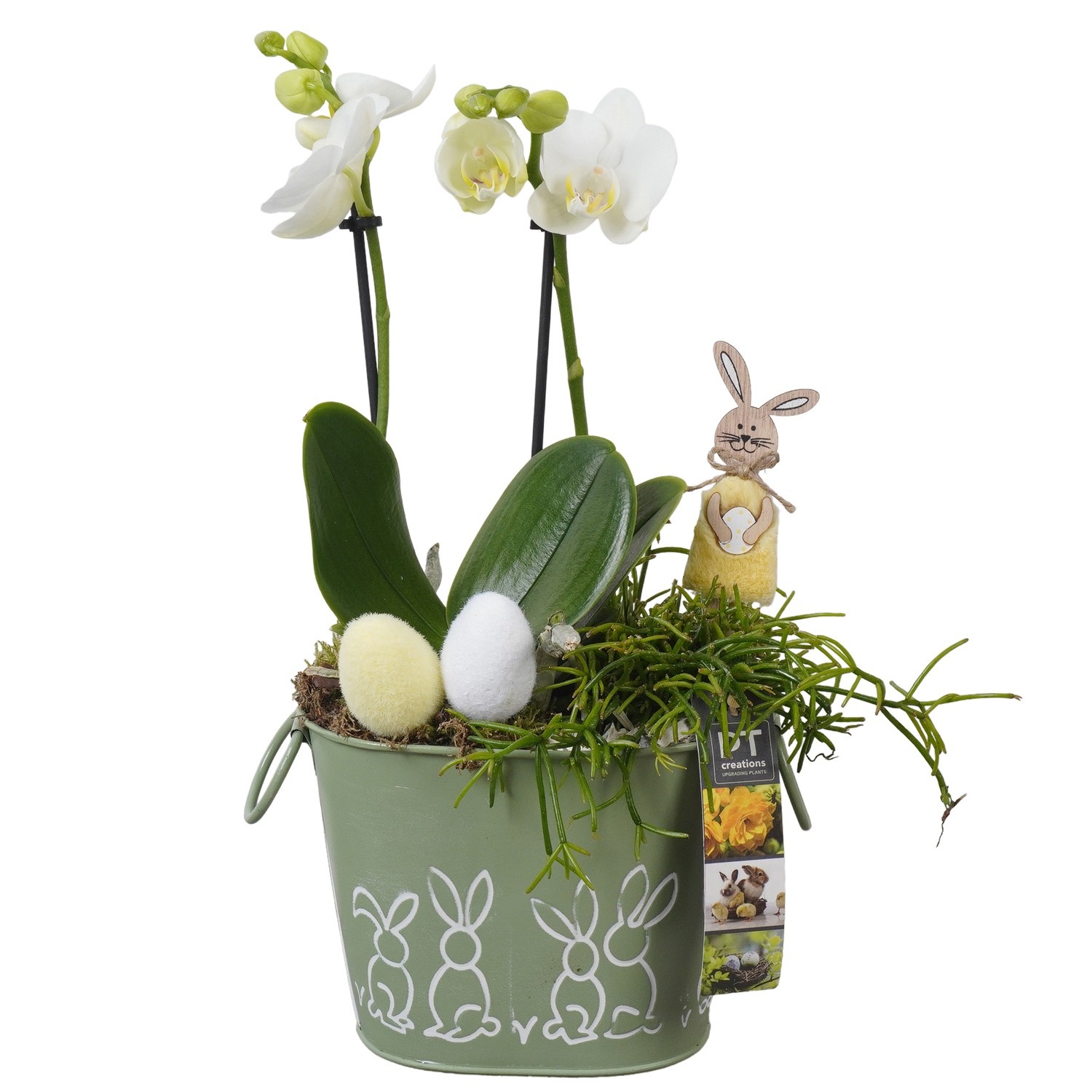 PTPB6462 Arrangement Easter in zink pot, D 17