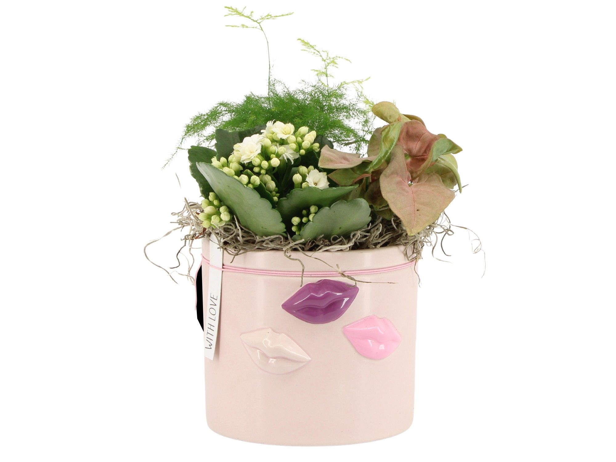 21574: Lovess arrangement, D 12