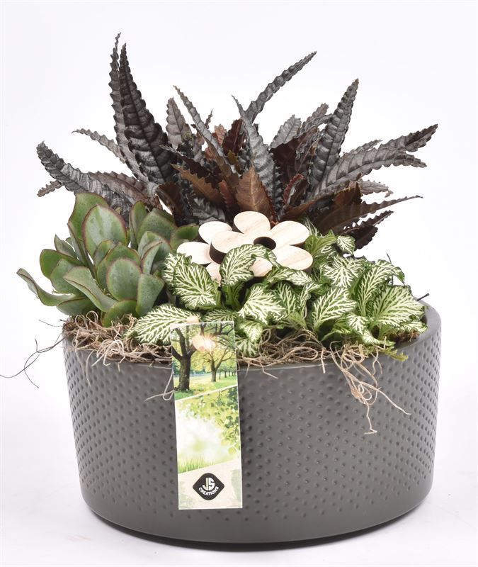 Keramiek schaal mat groen 18.5 cm, D 18