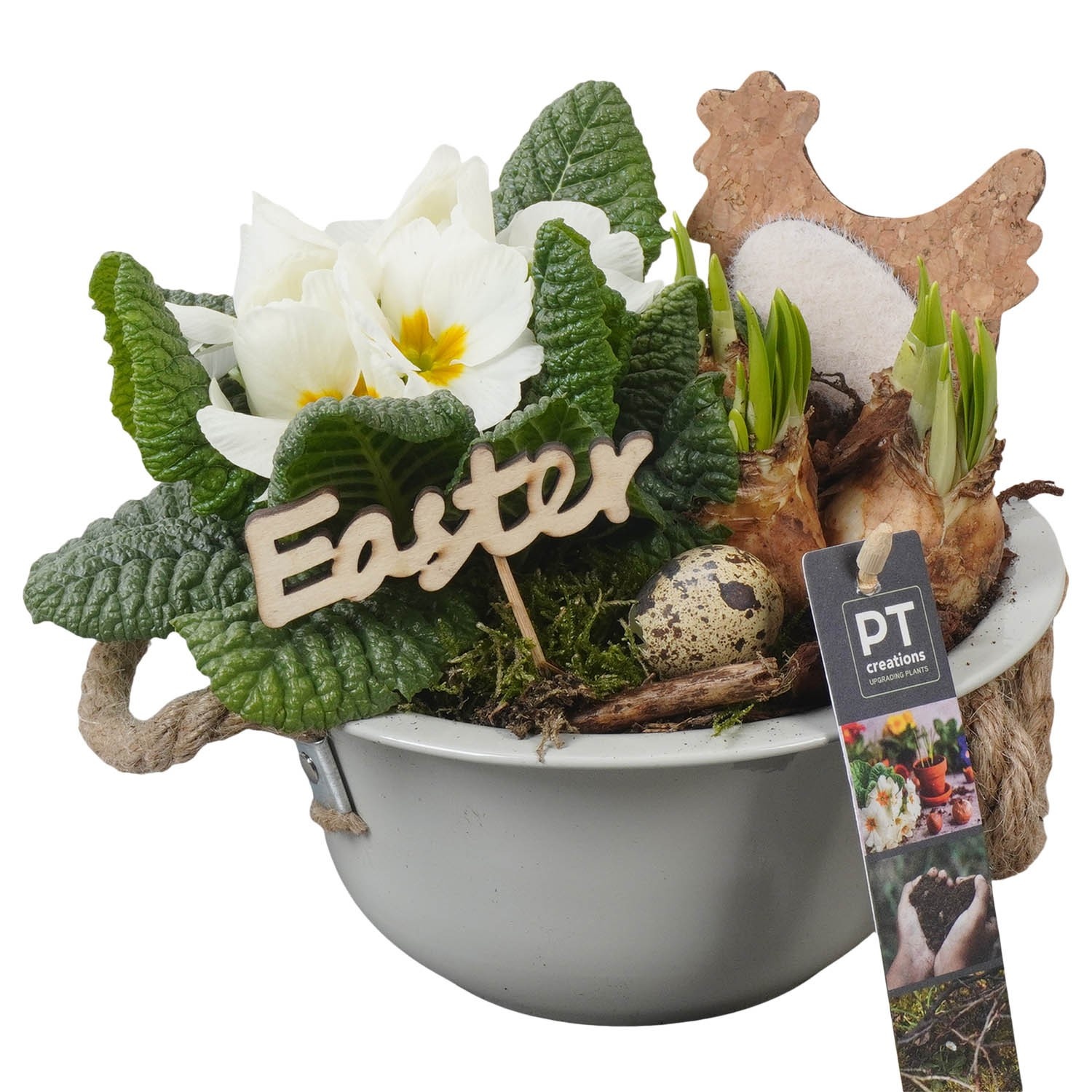 PTBMP5616 Arrangement Easter Bulbs Mix in zink schaal, D 18