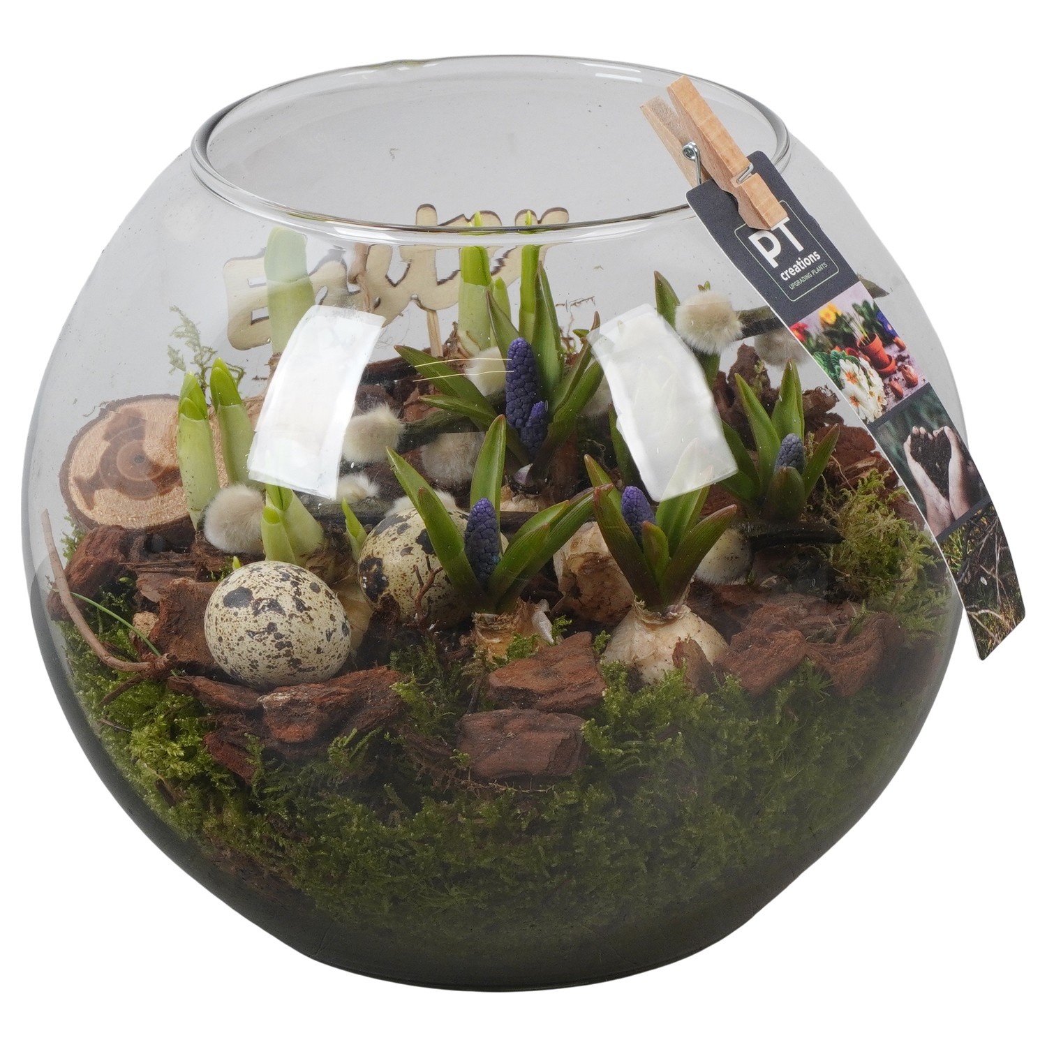 PTBMP5761 Arrangement Easter Bulbs Mix in glas vaas in bol vorm, D 20