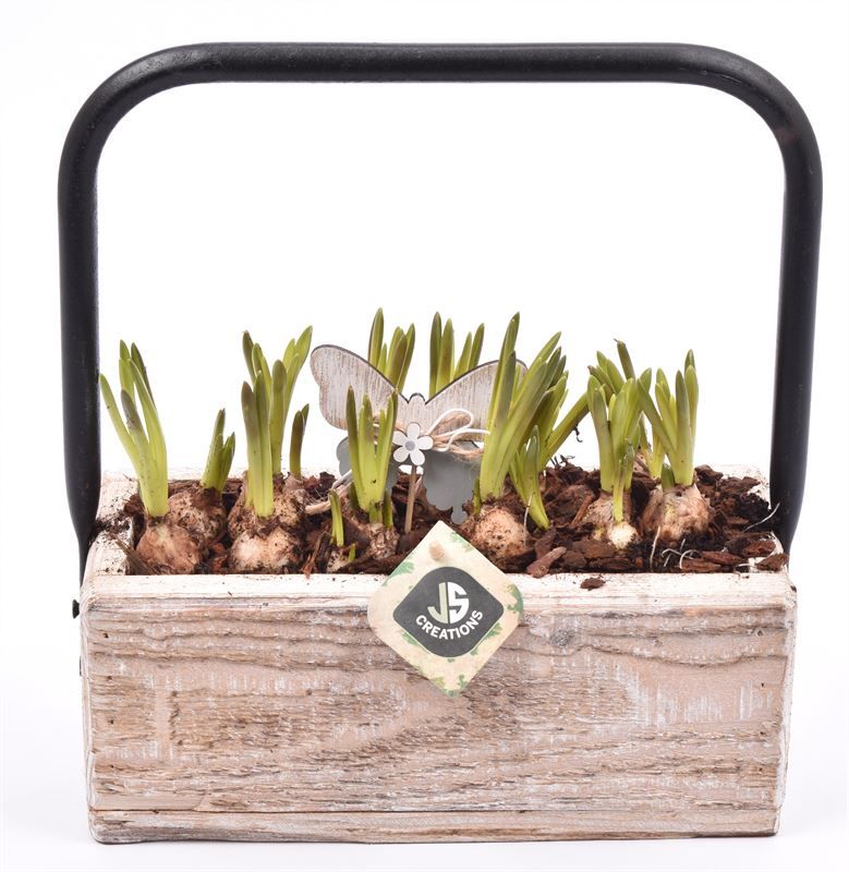 Hout rechthoek met hendel 26x11cm, D 27