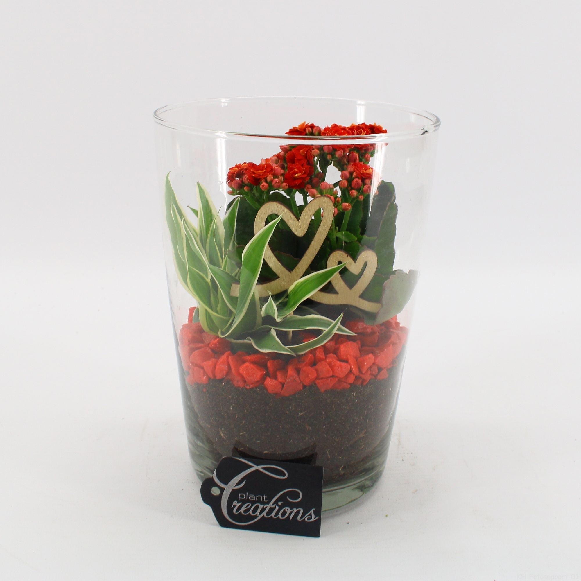 FDRM-2604R Romantic Fundamentals, D 14