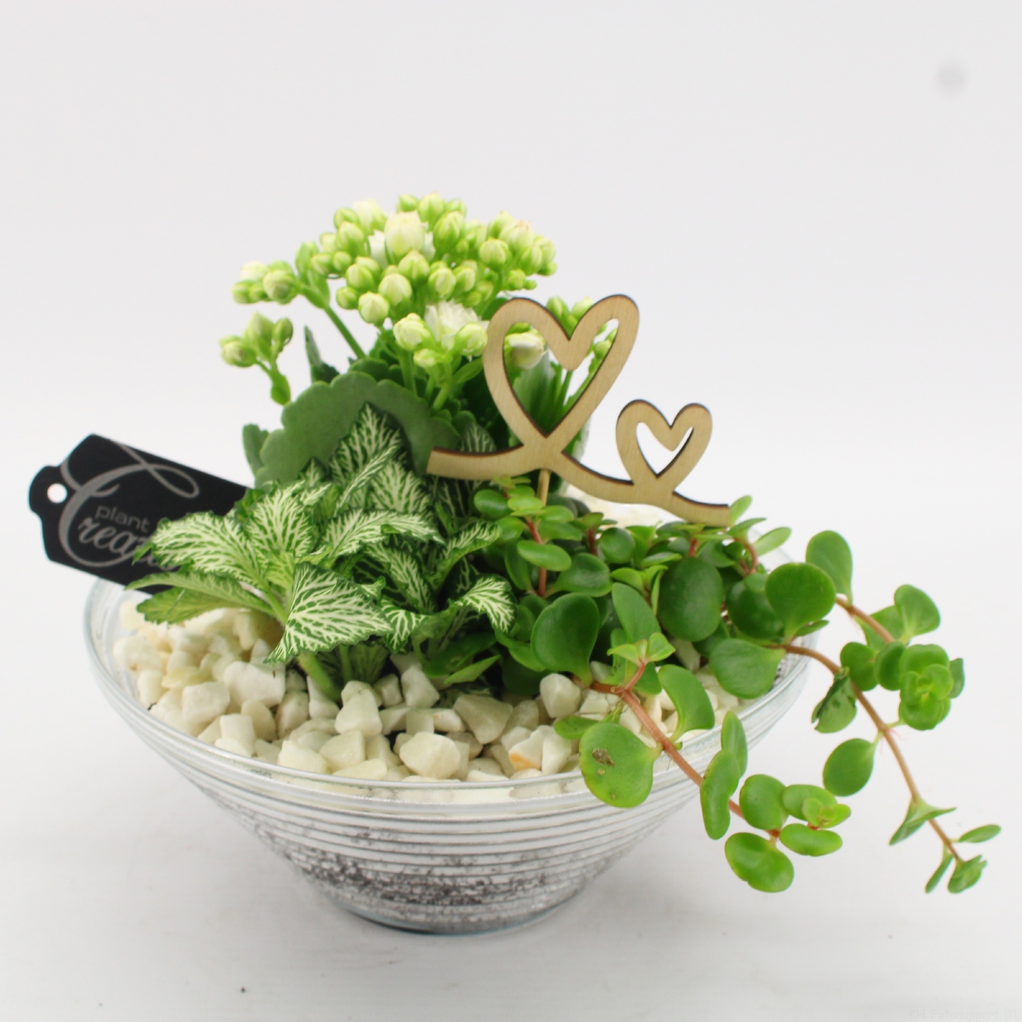 FDRM-2601W Romantic Fundamentals, D 20