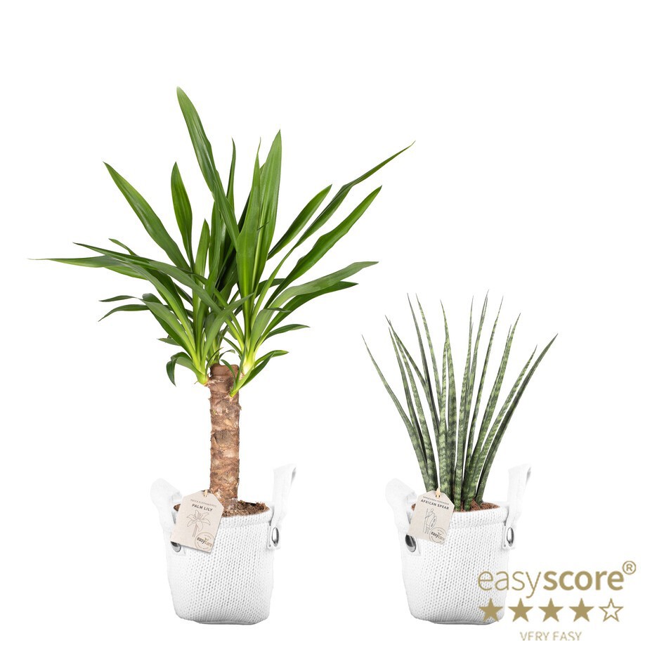 GREEN MIX 31411000 Knitwear White, D 14