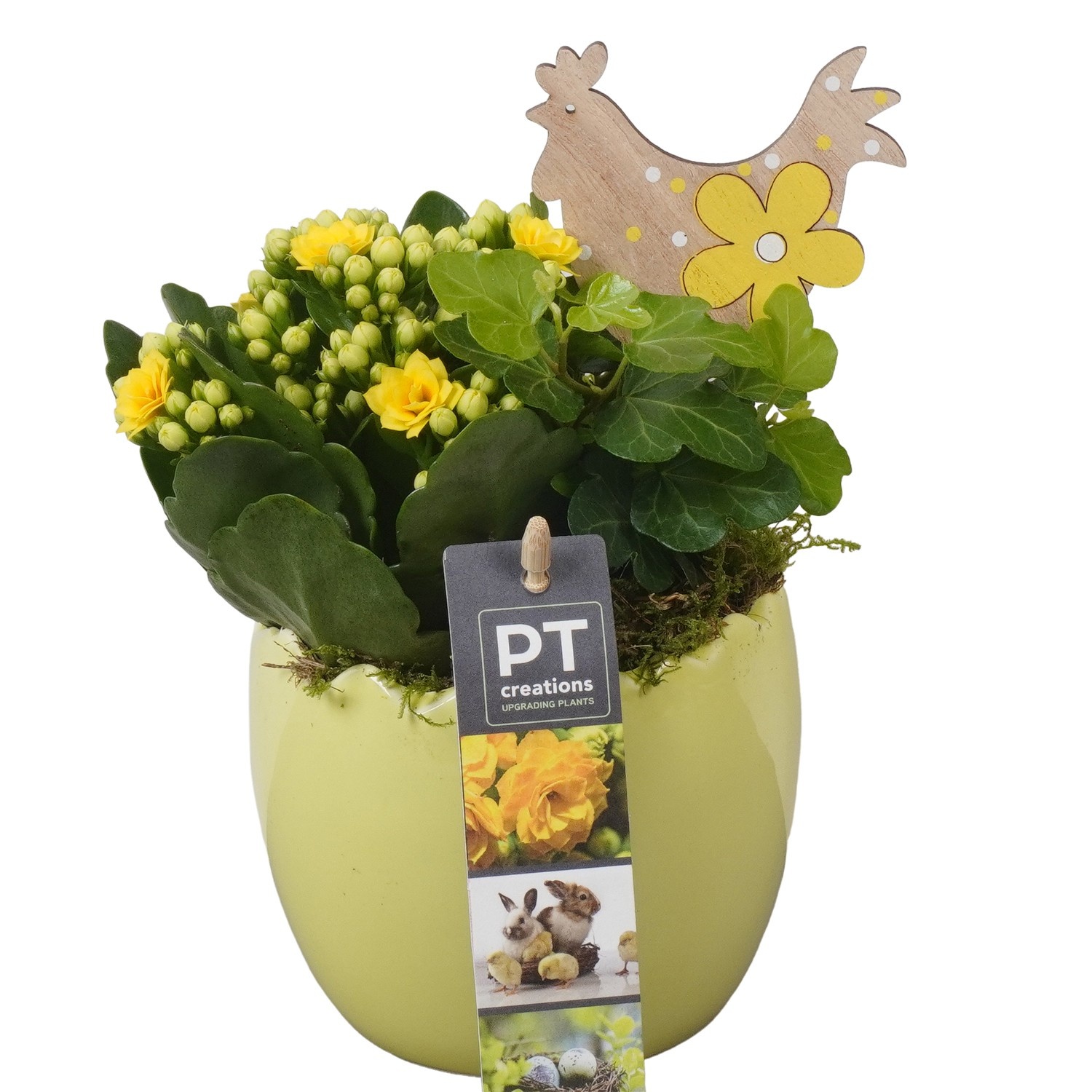 PTPB6488 Arrangement Easter in keramiek ei, D 11