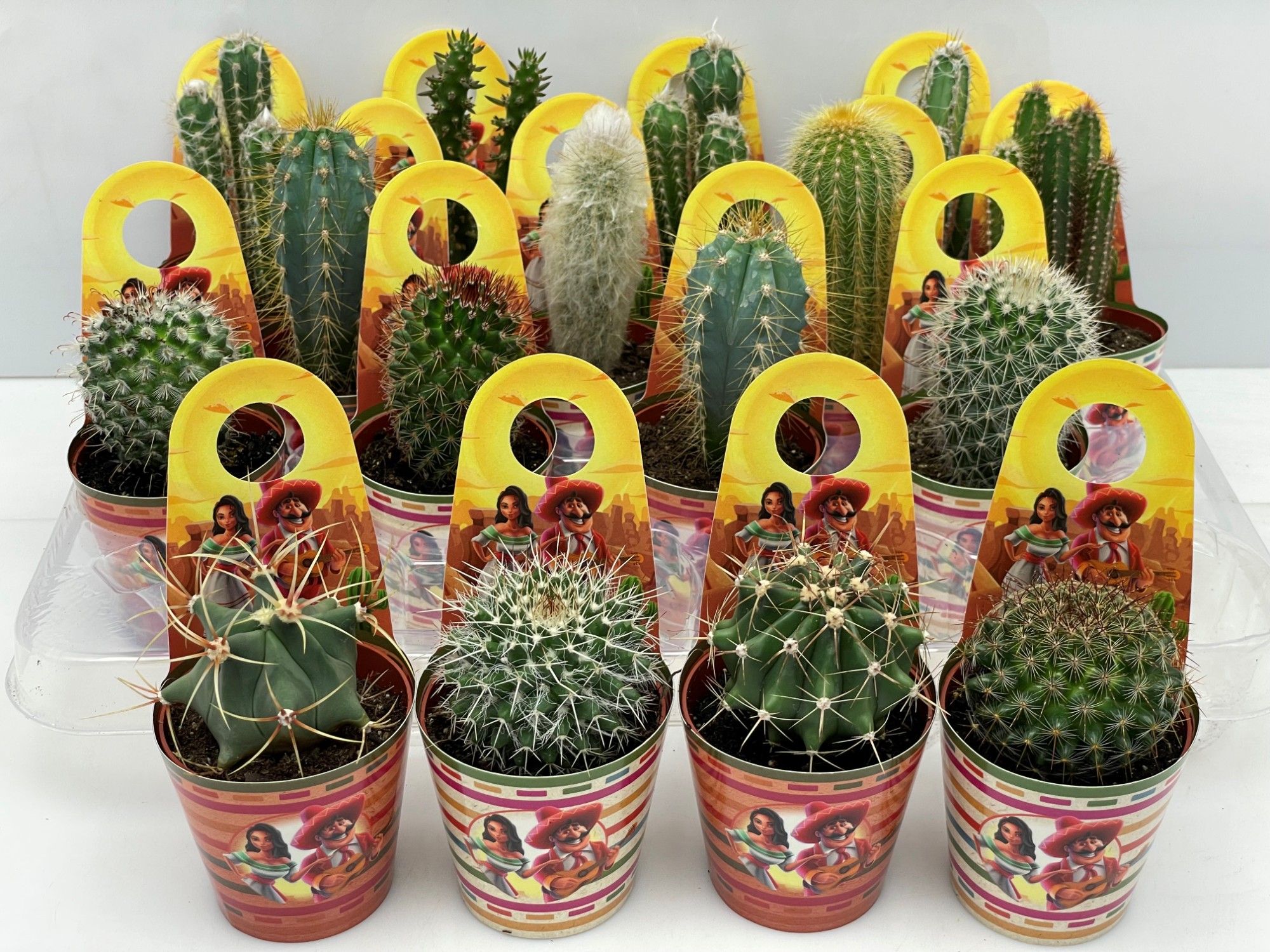 252 Mexico Carry Cover 6,5 cm, D 7,5