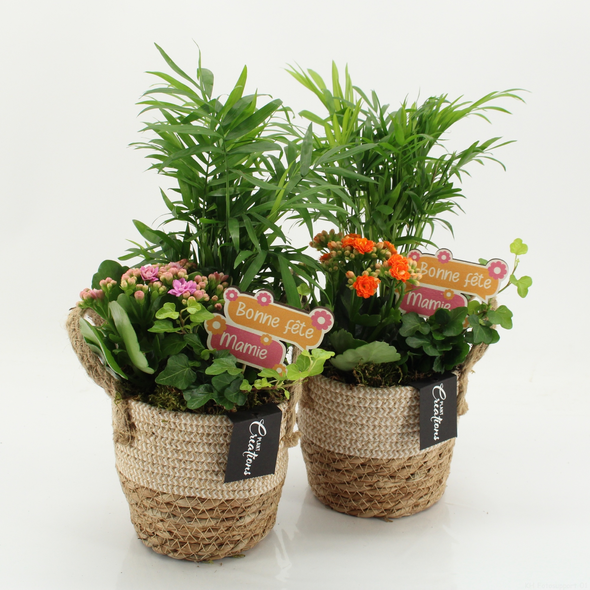 FGCR-2623 Fête des grands-mères, D 14