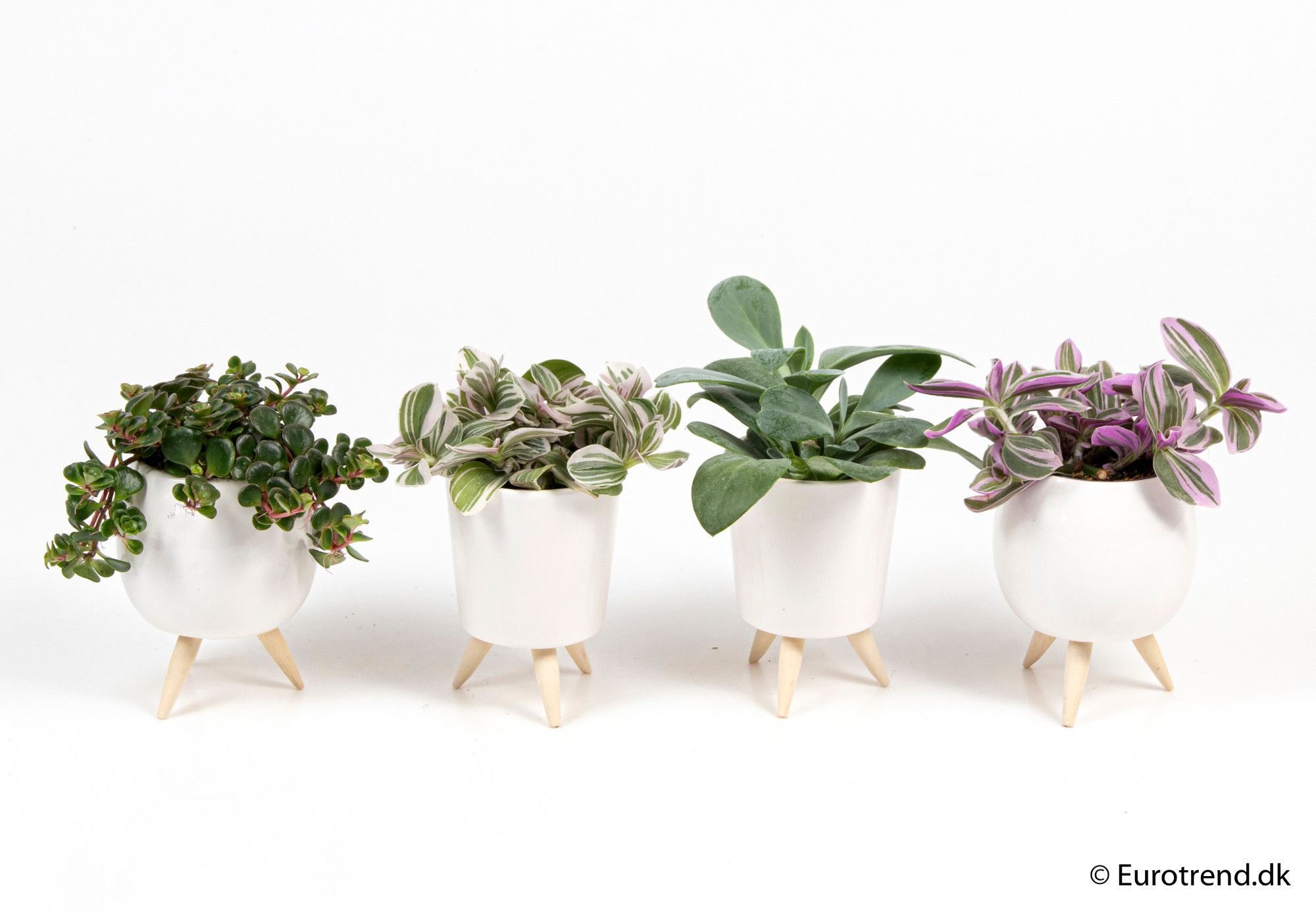 Green mix in ceramic with leg - New Look 2025, D 6