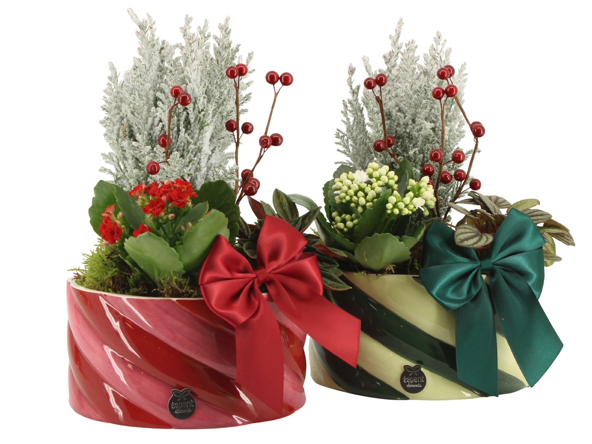 61776: X-mas arrangement, D 17