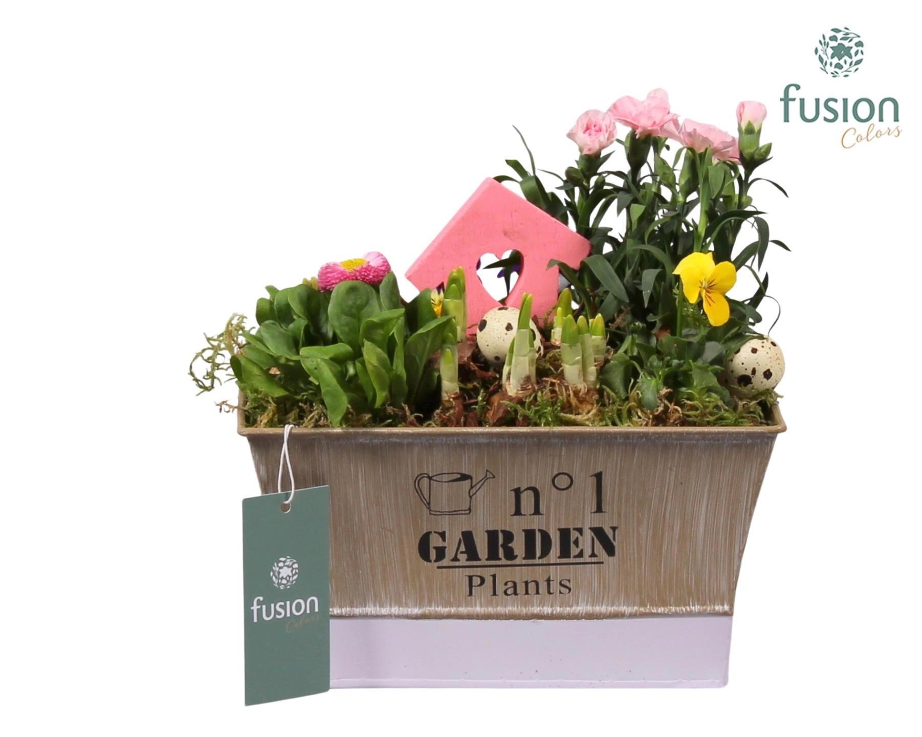 Pot zink paars Pasen met Arrangement, D 22