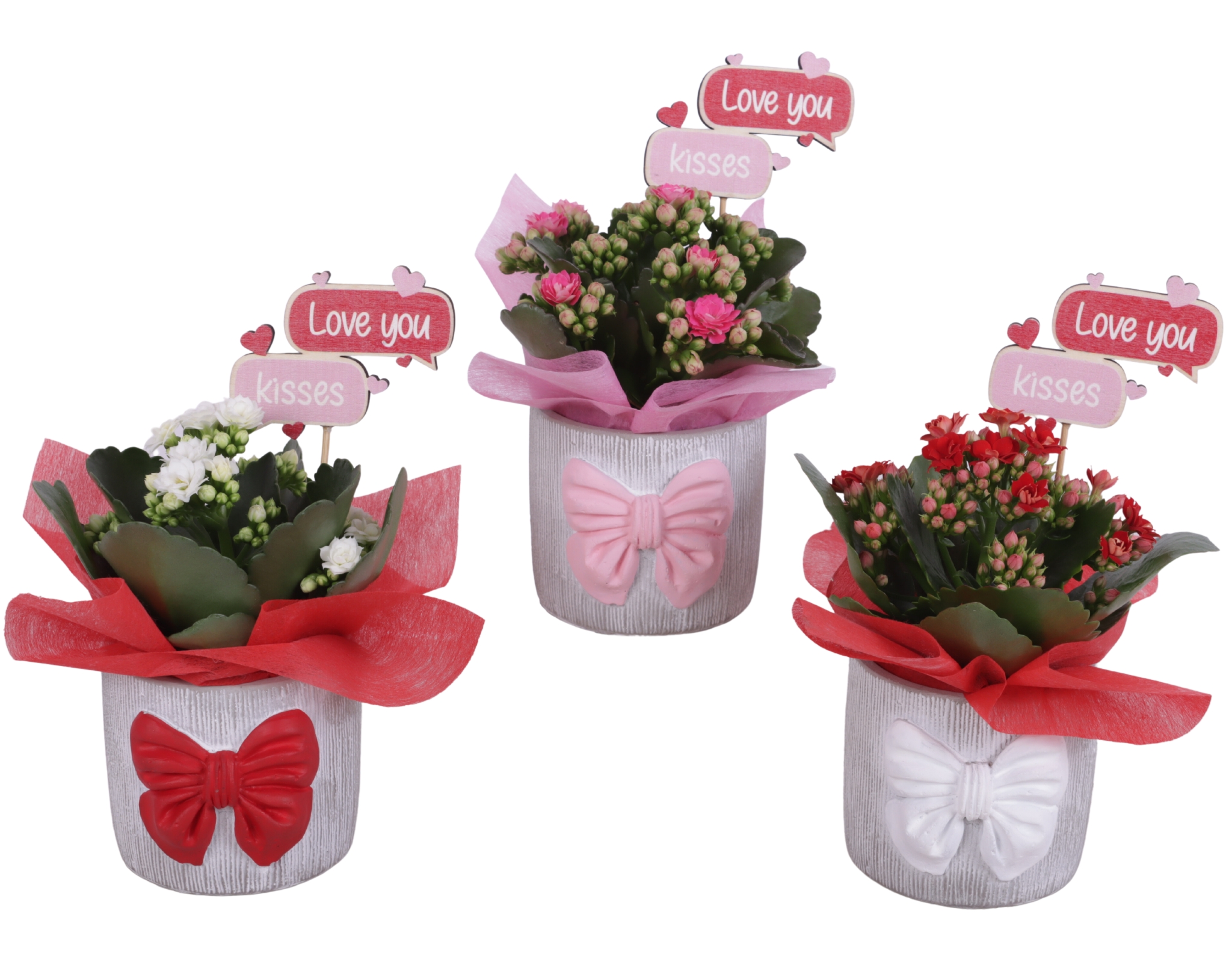 Valentine Arr. Indoor Ceramic Pot with Bow 3 Color Mix Ø10cm 1PP, D 10