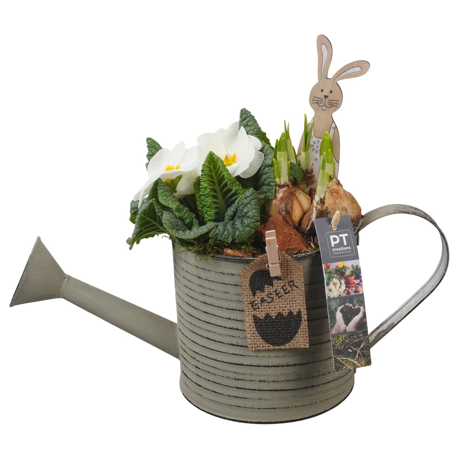 PTBMP5634 Arrangement Easter Bulbs Mix in zink gieter, D 14