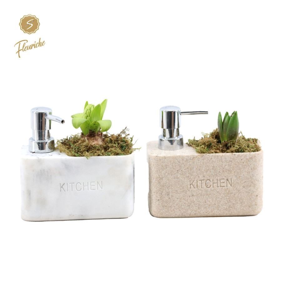 (1903) Hyacint Soap Dispenser 1PP Mos, D 19